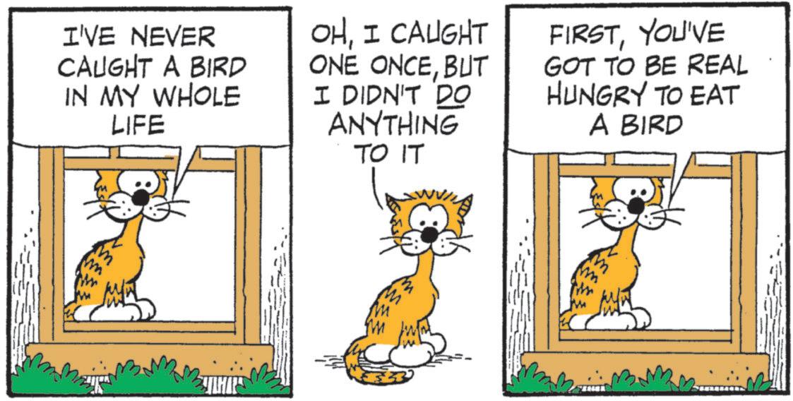 Animation OCR: I'VE NEVER CAUGHT A BIRD IN MY WHOLE LIFE OHI CAUGHT ONE ONCEBUT I DIDN'T DO ANYTHING TO IT FIRSTYOU'VE GOT TO BE REAL HUNGRY TO EAT A BIRD LHARS I'VE NEVER CAUGHT A BIRD IN MY WHOLE LIFE OHI CAUGHT ONE ONCEBUT I DIDN'T DO ANYTHING TO IT FIRSTYOU'VE GOT TO BE REAL HUNGRY TO EAT A BIRD LHARS