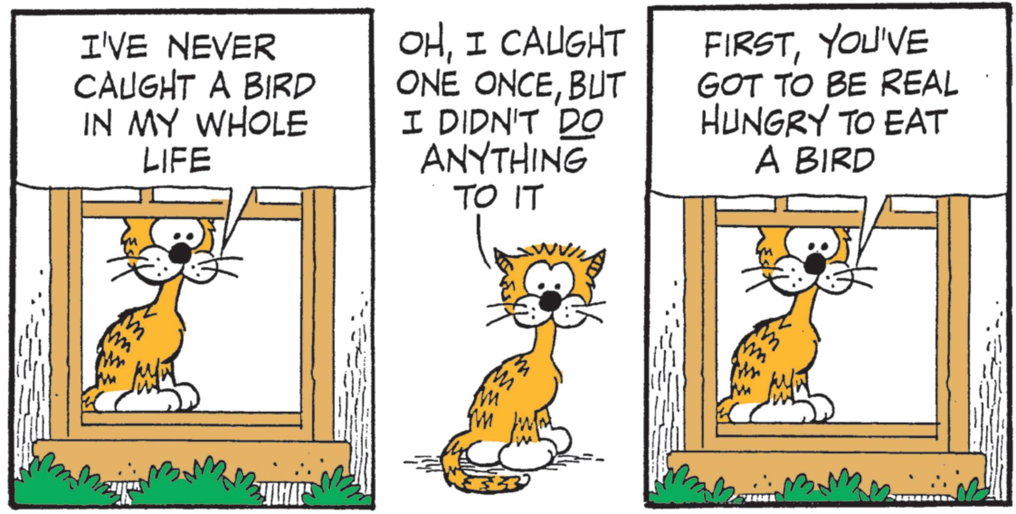 Animation OCR: I'VE NEVER CAUGHT A BIRD IN MY WHOLE LIFE OHI CAUGHT ONE ONCEBUT I DIDN'T DO ANYTHING TO IT FIRSTYOU'VE GOT TO BE REAL HUNGRY TO EAT A BIRD LHARS I'VE NEVER CAUGHT A BIRD IN MY WHOLE LIFE OHI CAUGHT ONE ONCEBUT I DIDN'T DO ANYTHING TO IT FIRSTYOU'VE GOT TO BE REAL HUNGRY TO EAT A BIRD LHARS