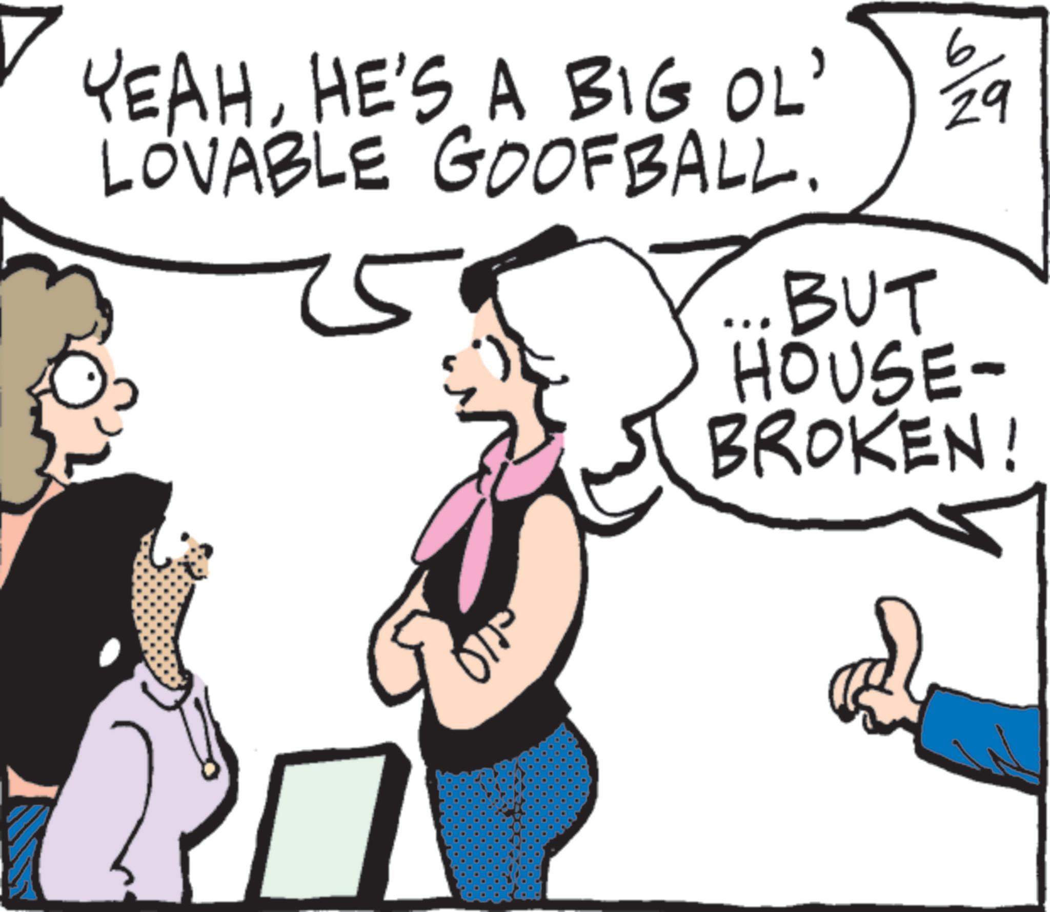Photo caption OCR: YEAHHE'S A BIG OL' LOVABLE GOOFBALL. 6 29 BUT HOUSE- BROKEN! YEAHHE'S A BIG OL ' LOVABLE GOOFBALL . 6 29 BUT HOUSE- BROKEN !