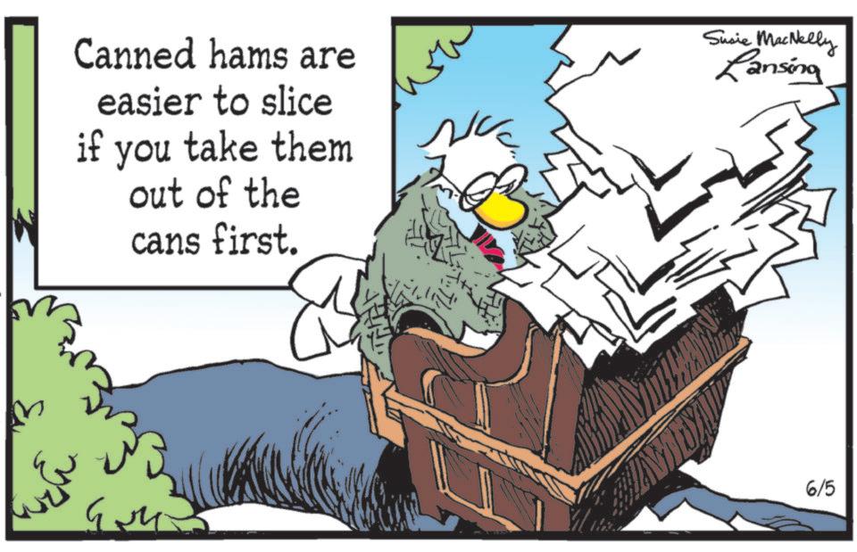 Graphics OCR: Canned hams are easier to slice if you take them out of the cans first. wa Susie MacNelly Ransing 6/5 Canned hams are easier to slice if you take them out of the cans first . wa Susie MacNelly Ransing 6/5