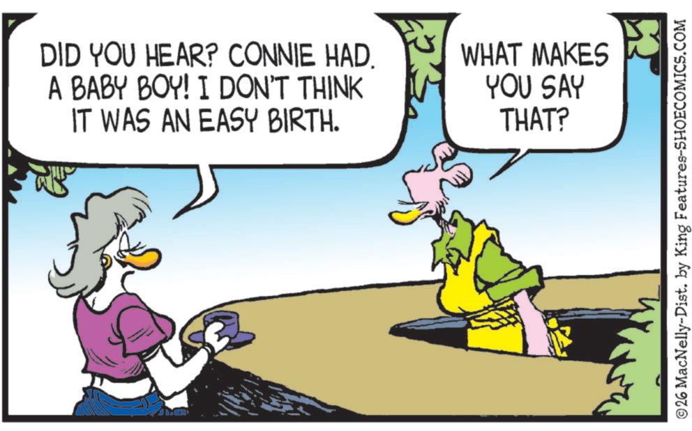 Fictional character OCR: DID YOU HEAR? CONNIE HAD. A BABY BOY! I DON'T THINK IT WAS AN EASY BIRTH. WHAT MAKES YOU SAY THAT? ©26 MacNelly-Dist. by King Features-SHOECOMICS.COM DID YOU HEAR ? CONNIE HAD . A BABY BOY ! I DON'T THINK IT WAS AN EASY BIRTH . WHAT MAKES YOU SAY THAT ? © 26 MacNelly - Dist . by King Features-SHOECOMICS.COM