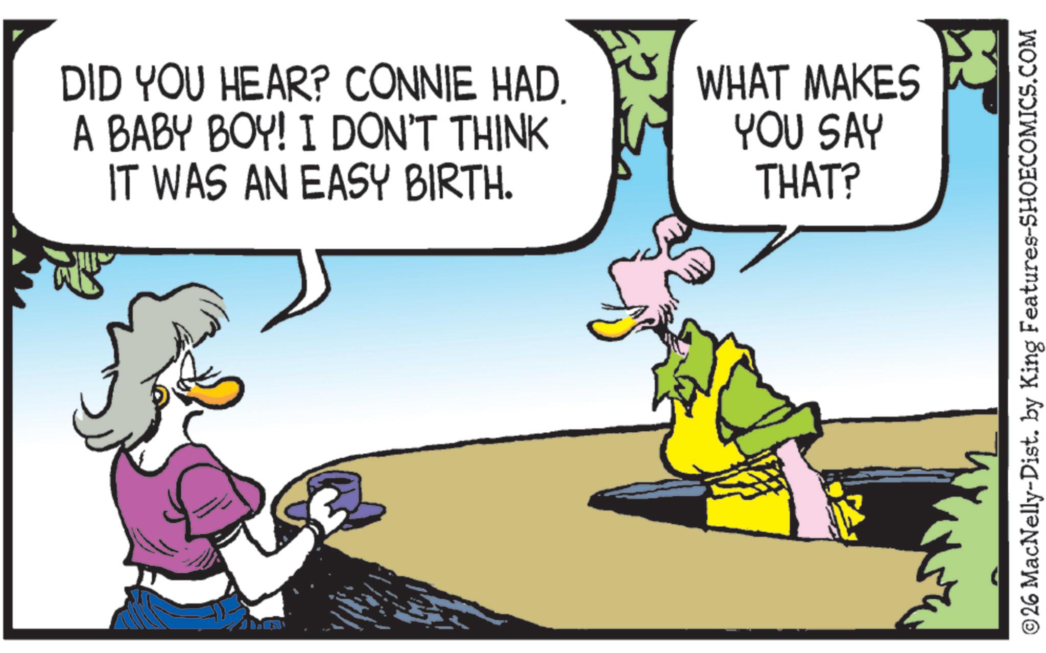 Fictional character OCR: DID YOU HEAR? CONNIE HAD. A BABY BOY! I DON'T THINK IT WAS AN EASY BIRTH. WHAT MAKES YOU SAY THAT? ©26 MacNelly-Dist. by King Features-SHOECOMICS.COM DID YOU HEAR ? CONNIE HAD . A BABY BOY ! I DON'T THINK IT WAS AN EASY BIRTH . WHAT MAKES YOU SAY THAT ? © 26 MacNelly - Dist . by King Features-SHOECOMICS.COM