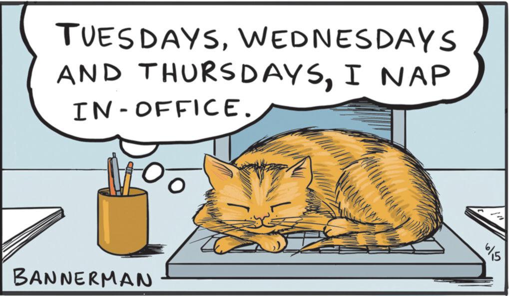 Animated cartoon OCR: TUESDAYSWEDNESDAYS AND THURSDAYSI NAP IN-OFFICE. BANNERMAN 615 TUESDAYSWEDNESDAYS AND THURSDAYSI NAP IN - OFFICE . BANNERMAN 615