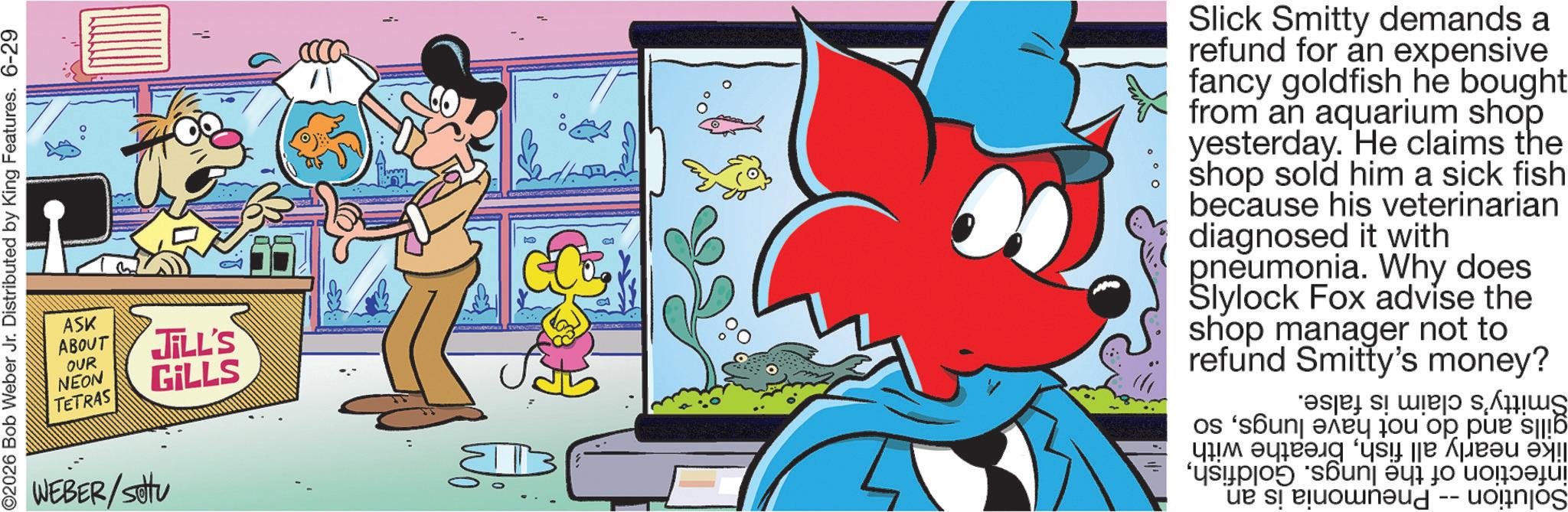 Publication OCR: O2026 Bob Weber Jr. Distributed by King Features. 6-29 ASK ABOUT OUR NEON TETRAS JILL'S GILLS WEBER/Stu Slick Smitty demands a refund for an expensive fancy goldfish he bought from an aquarium shop yesterday. He claims the shop sold him a sick fish because his veterinarian diagnosed it with pneumonia. Why does Slylock Fox advise the shop manager not to refund Smitty's money? 'es|P! S! U!P|O S.??? os son of a s||16 ???? ???? ?!! na to ue si blowneud -- kornj O2026 Bob Weber Jr. Distributed by King Features . 6-29 ASK ABOUT OUR NEON TETRAS JILL'S GILLS WEBER / Stu Slick Smitty demands a refund for an expensive fancy goldfish he bought from an aquarium shop yesterday . He claims the shop sold him a sick fish because his veterinarian diagnosed it with pneumonia . Why does Slylock Fox advise the shop manager not to refund Smitty's money ? ' es | P ! S ! U ! P | O S. ??? os son of a s || 16 ???? ???? ? !! na to ue si blowneud -- kornj