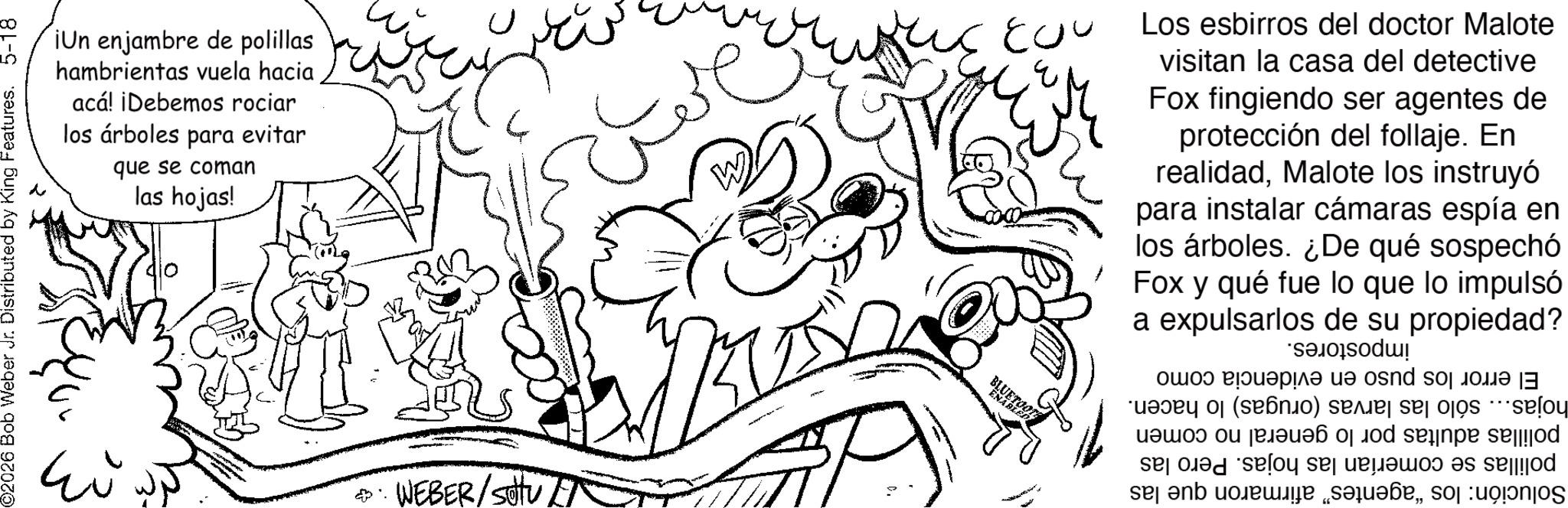 Fictional character OCR: ¡Un enjambre de polillas hambrientas vuela hacia acá! ¡Debemos rociar los árboles para evitar que se coman las hojas! ©2026 Bob Weber Jr. Distributed by King Features. 5-18 • WEBER/sottun ??? ENARE OTH 3 Los esbirros del doctor Malote visitan la casa del detective Fox fingiendo ser agentes de protección del follaje. En realidadMalote los instruyó para instalar cámaras espía en los árboles. ¿De qué sospechó Fox y qué fue lo que a expulsarlos de su lo impulsó propiedad? El error los puso en evidencia hojas... sólo las larvas (orugas) lo hacen. polillas adultas por lo general no comen polillas se comerían las hojas. Pero las Solución: los "agentes" afirmaron que las impostores. como ¡ Un enjambre de polillas hambrientas vuela hacia acá ! ¡ Debemos rociar los árboles para evitar que se coman las hojas ! © 2026 Bob Weber Jr. Distributed by King Features . 5-18 • WEBER / sottun ??? ENARE OTH 3 Los esbirros del doctor Malote visitan la casa del detective Fox fingiendo ser agentes de protección del follaje . En realidadMalote los instruyó para instalar cámaras espía en los árboles . ¿ De qué sospechó Fox y qué fue lo que a expulsarlos de su lo impulsó propiedad ? El error los puso en evidencia hojas ... sólo las larvas ( orugas ) lo hacen . polillas adultas por lo general no comen polillas se comerían las hojas . Pero las Solución : los " agentes " afirmaron que las impostores . como