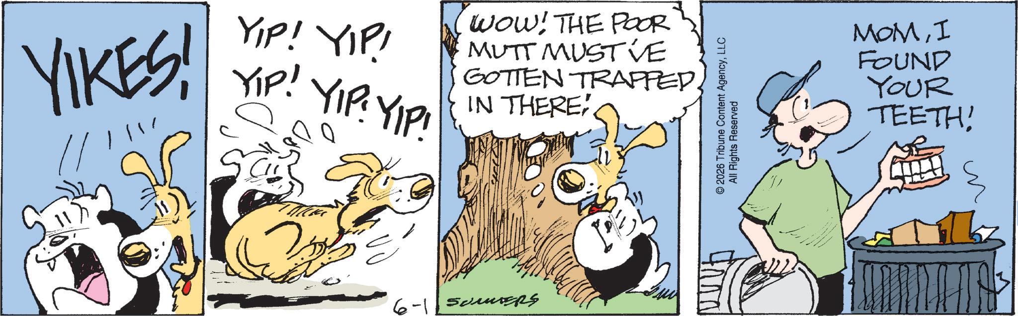 Fictional character OCR: YIKES! YIP! YIP! YIP! YIP: YIP! WOW! THE POOR MUTT MUSTVE GOTTEN TRAPPED. IN THERE! 6-1 SUMERS © 2026 Tribune Content AgencyLLC All Rights Reserved MOMI FOUND YOUR TEETH! YIKES ! YIP ! YIP ! YIP ! YIP : YIP ! WOW ! THE POOR MUTT MUSTVE GOTTEN TRAPPED . IN THERE ! 6-1 SUMERS © 2026 Tribune Content AgencyLLC All Rights Reserved MOMI FOUND YOUR TEETH !