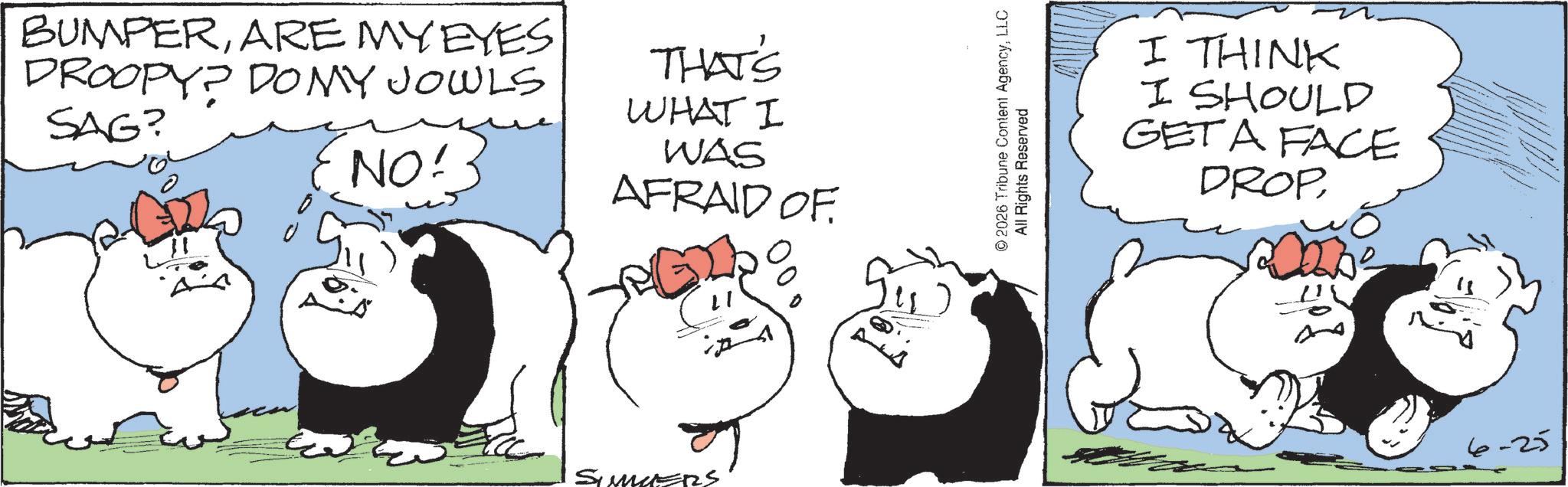 Comic book OCR: BUMPERARE MY EYES DROOPY? DOMY JOWLS SAG? NO! THAT'S WHAT I WAS AFRAID OF ??? SUMMERS © 2026 Tribune Content AgencyLLC All Rights Reserved I I THINK SHOULD GET A FACE DROP 25- ?? BUMPERARE MY EYES DROOPY ? DOMY JOWLS SAG ? NO ! THAT'S WHAT I WAS AFRAID OF ??? SUMMERS © 2026 Tribune Content AgencyLLC All Rights Reserved I I THINK SHOULD GET A FACE DROP 25- ??