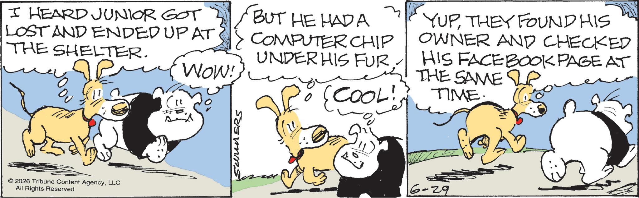 Comic book OCR: I HEARD JUNIOR GOT LOST AND ENDED UP AT THE SHELTER. WOW!} BUT HE HAD A COMPUTER CHIP UNDER HIS FUR. {COOL! YUPTHEY FOUND HIS OWNER AND CHECKED HIS FACEBOOK PAGE AT THE SAME 8 TIME. sar © 2026 Tribune Content AgencyLLC All Rights Reserved SUMERS 6-29 I HEARD JUNIOR GOT LOST AND ENDED UP AT THE SHELTER . WOW ! } BUT HE HAD A COMPUTER CHIP UNDER HIS FUR . { COOL ! YUPTHEY FOUND HIS OWNER AND CHECKED HIS FACEBOOK PAGE AT THE SAME 8 TIME . sar © 2026 Tribune Content AgencyLLC All Rights Reserved SUMERS 6-29