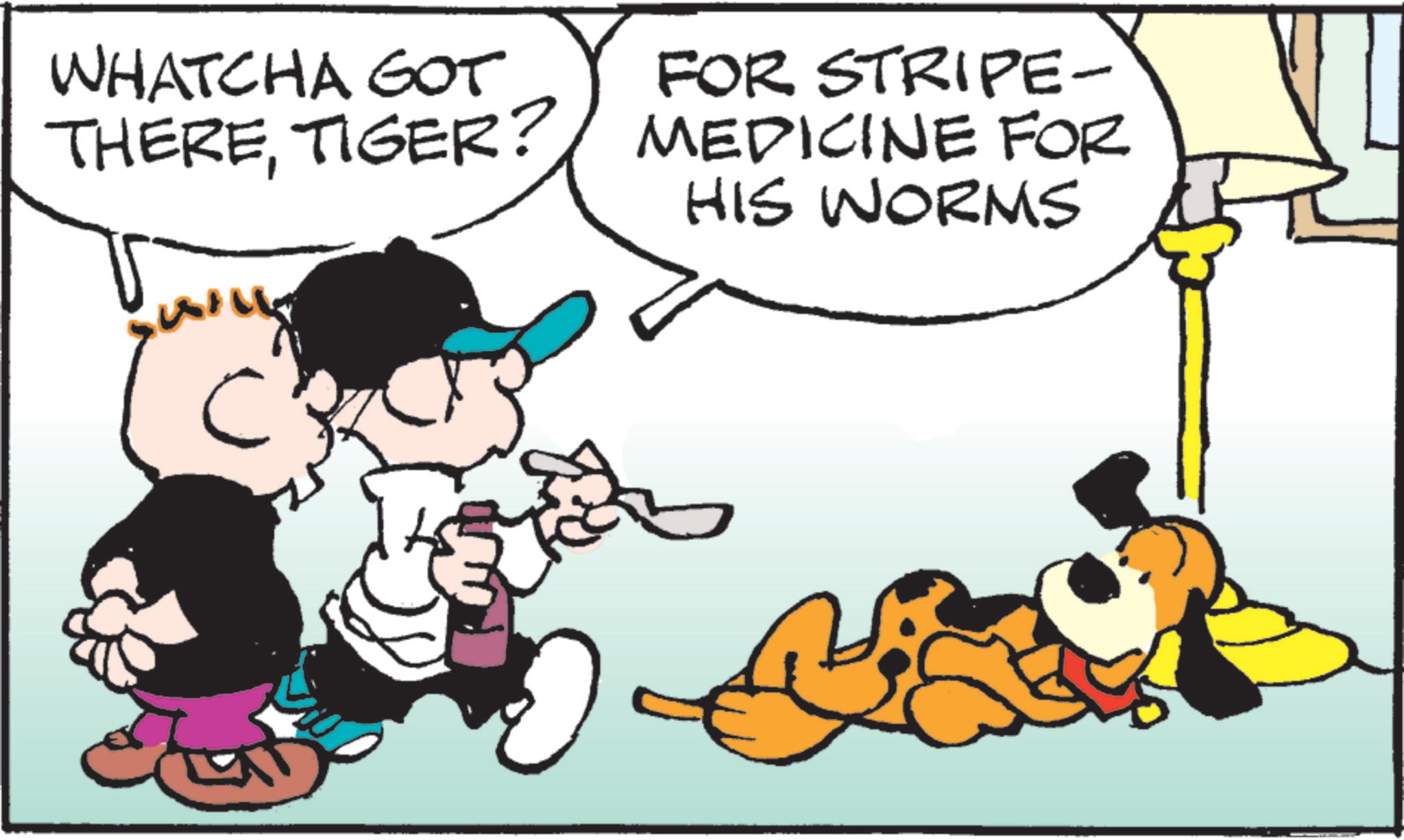 Conversation OCR: WHATCHA GOT THERETIGER? will FOR STRIPE- MEDICINE FOR HIS WORMS WHATCHA GOT THERETIGER ? will FOR STRIPE- MEDICINE FOR HIS WORMS
