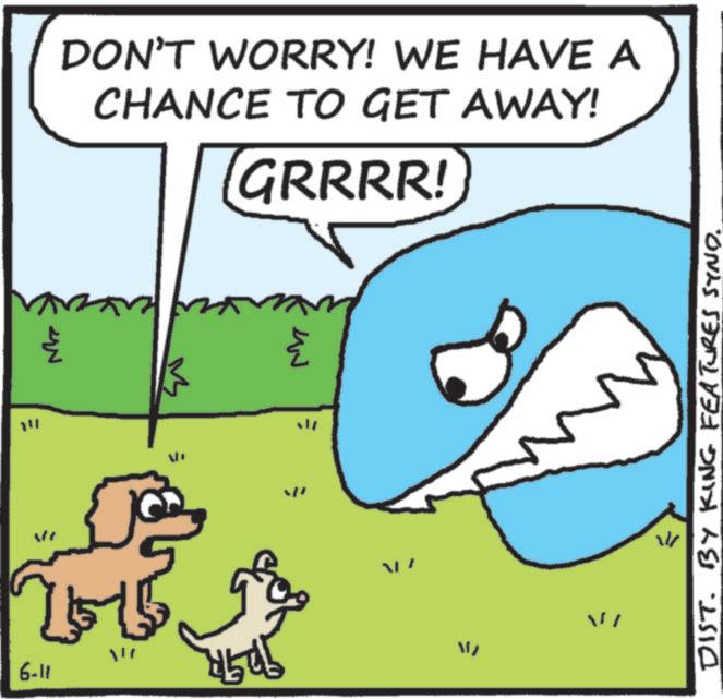 Pleased OCR: M DON'T WORRY! WE HAVE A CHANCE TO GET AWAY! GRRRR! " 6-11 16 4505 ??? 27 W W DIST. BY KING FEATURES SYND. M DON'T WORRY ! WE HAVE A CHANCE TO GET AWAY ! GRRRR ! " 6-11 16 4505 ??? 27 W W DIST . BY KING FEATURES SYND .