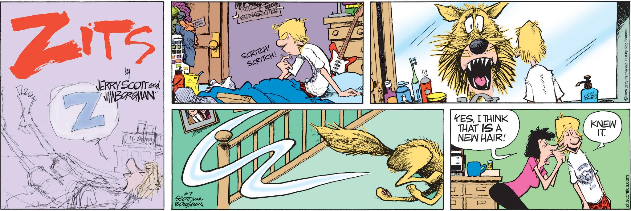 Publication OCR: ZITS by JERRY SCOTT and NIMBORGMAN" Z 11.A TGINGIVITS SCRITCH! SCRITCH! 6.7 SCOTTand BORGMAN YESI THINK THAT IS A NEW HAIR! Soap KNEW IT. Zitscomics.com 2026 ZITS Partnership. Dist. by King Features ZITS by JERRY SCOTT and NIMBORGMAN " Z 11.A TGINGIVITS SCRITCH ! SCRITCH ! 6.7 SCOTTand BORGMAN YESI THINK THAT IS A NEW HAIR ! Soap KNEW IT . Zitscomics.com 2026 ZITS Partnership . Dist . by King Features