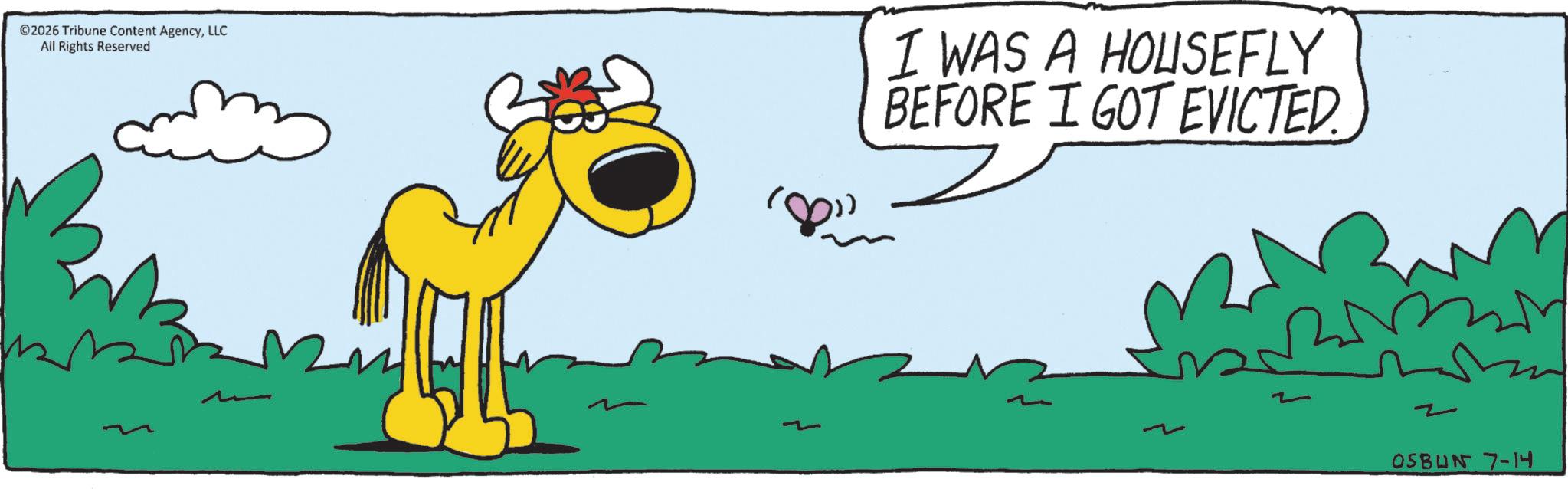 Tail OCR: ©2026 Tribune Content AgencyLLC All Rights Reserved I WAS A HOUSEFLY BEFORE I GOT EVICTED. ?? 2 OSBUN 7-14 © 2026 Tribune Content AgencyLLC All Rights Reserved I WAS A HOUSEFLY BEFORE I GOT EVICTED . ?? 2 OSBUN 7-14