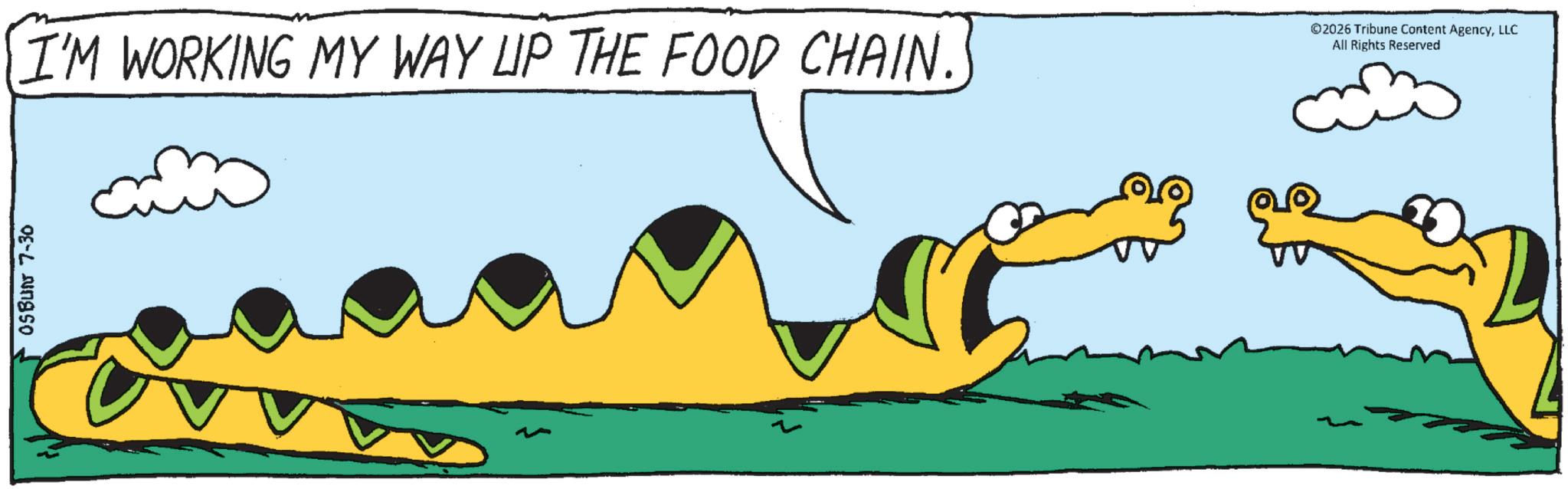Alligators OCR: OSBUN 7-30 I'M WORKING MY WAY UP THE FOOD CHAIN. ©2026 Tribune Content AgencyLLC All Rights Reserved OSBUN 7-30 I'M WORKING MY WAY UP THE FOOD CHAIN . © 2026 Tribune Content AgencyLLC All Rights Reserved