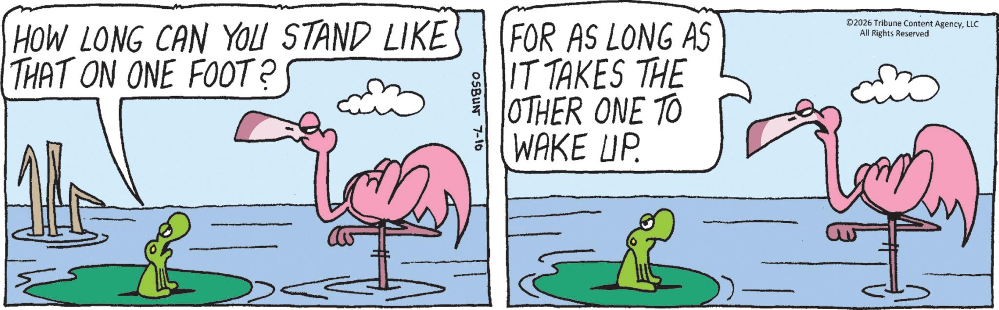 Bird OCR: HOW LONG CAN YOU STAND LIKE THAT ON ONE FOOT?! FOR AS LONG AS IT TAKES THE OTHER ONE TO WAKE UP. ©2026 Tribune Content AgencyLLC All Rights Reserved OSBUNT 7-10 HOW LONG CAN YOU STAND LIKE THAT ON ONE FOOT ?! FOR AS LONG AS IT TAKES THE OTHER ONE TO WAKE UP . © 2026 Tribune Content AgencyLLC All Rights Reserved OSBUNT 7-10