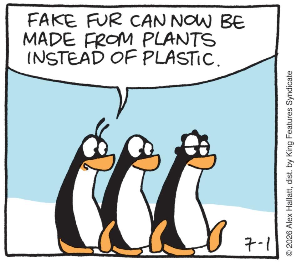 Fiction OCR: FAKE FUR CAN NOW BE MADE FROM PLANTS INSTEAD OF PLASTIC. 7-1 © 2026 Alex Hallattdist. by King Features Syndicate FAKE FUR CAN NOW BE MADE FROM PLANTS INSTEAD OF PLASTIC . 7-1 © 2026 Alex Hallattdist . by King Features Syndicate