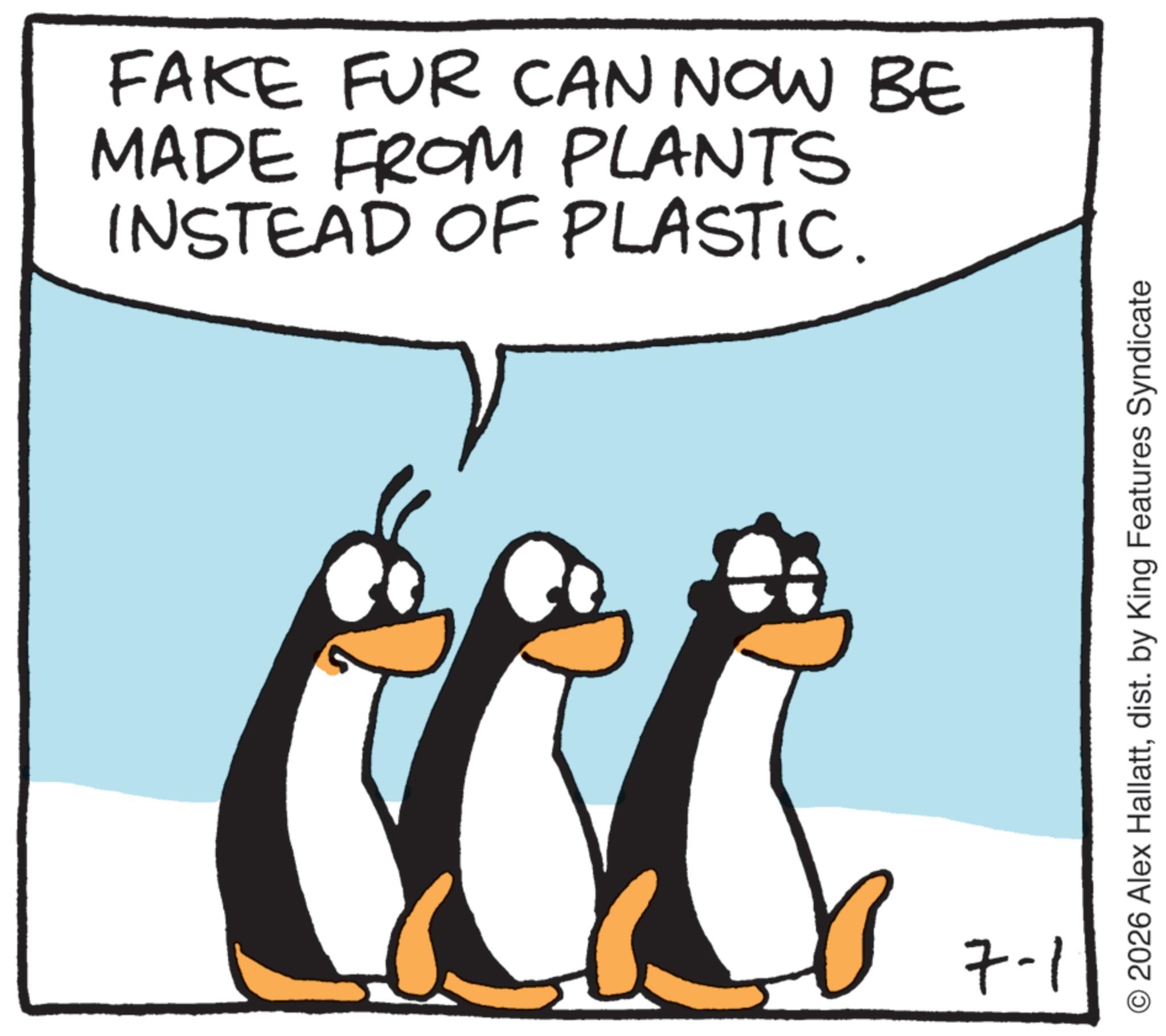 Fiction OCR: FAKE FUR CAN NOW BE MADE FROM PLANTS INSTEAD OF PLASTIC. 7-1 © 2026 Alex Hallattdist. by King Features Syndicate FAKE FUR CAN NOW BE MADE FROM PLANTS INSTEAD OF PLASTIC . 7-1 © 2026 Alex Hallattdist . by King Features Syndicate