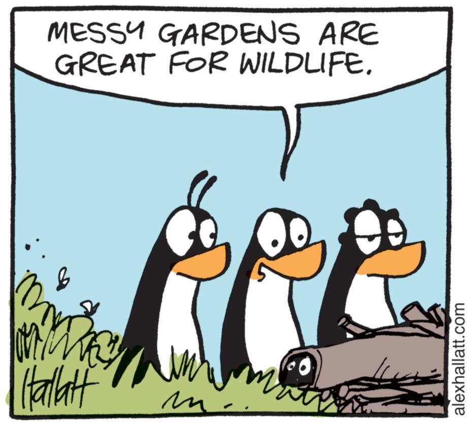 Bird OCR: MESSY GARDENS ARE GREAT FOR WILDLIFE. MM Hallatt m alexhallatt.com MESSY GARDENS ARE GREAT FOR WILDLIFE . MM Hallatt m alexhallatt.com