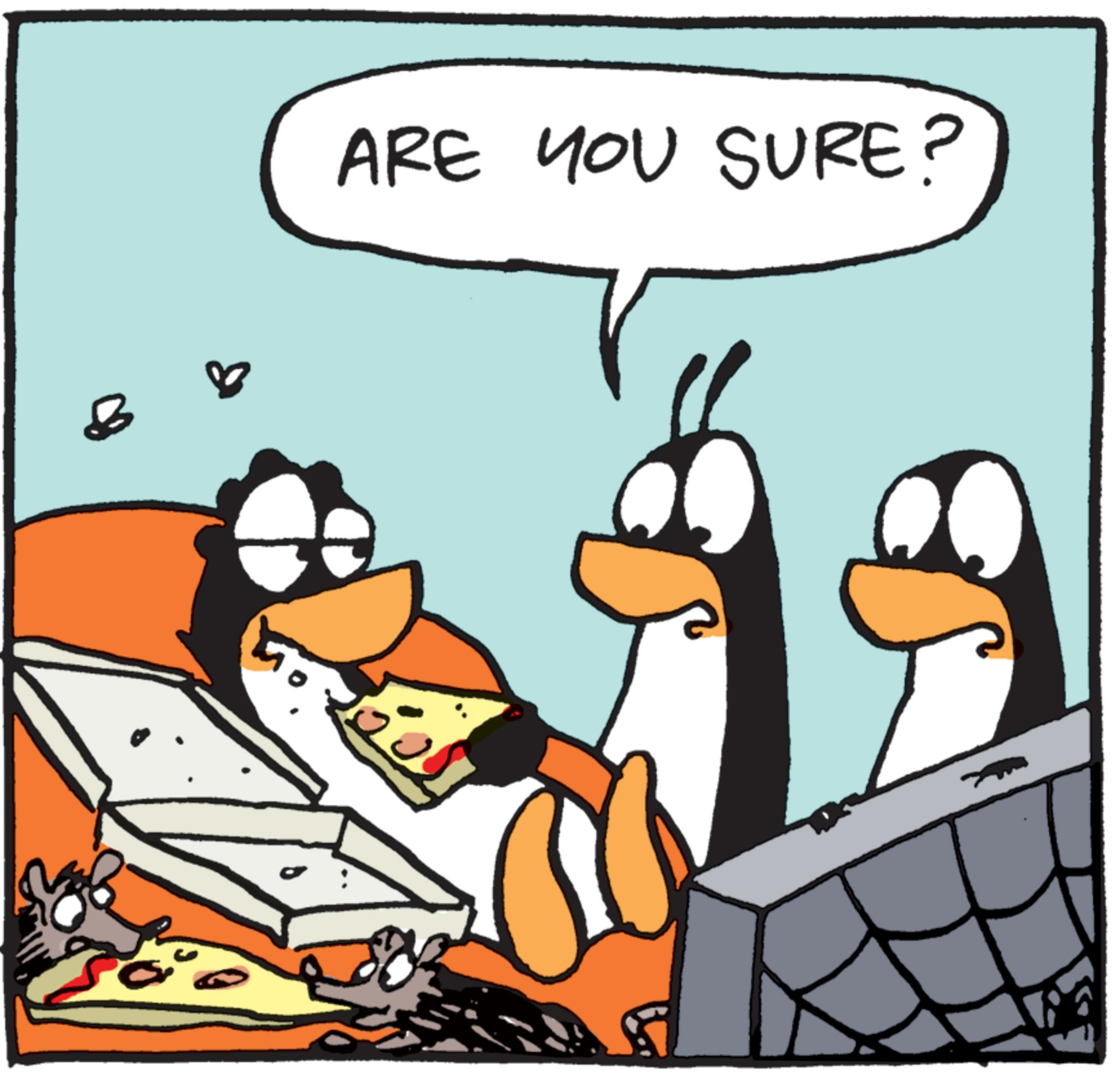 Bird OCR: 8 ARE YOU SURE? 8 ARE YOU SURE ?