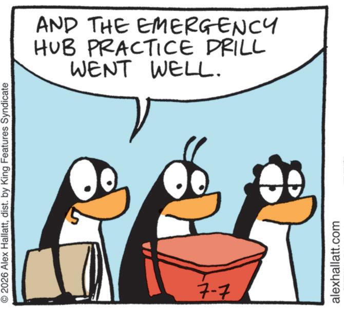 Fiction OCR: 2026 Alex Hallattdist. by King Features Syndicate 7-7 AND THE EMERGENCY HUB PRACTICE DRILL WENT WELL. alexhallatt.com 2026 Alex Hallattdist . by King Features Syndicate 7-7 AND THE EMERGENCY HUB PRACTICE DRILL WENT WELL . alexhallatt.com