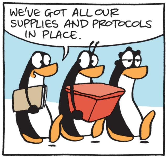 Animated cartoon OCR: WE'VE GOT ALL OUR SUPPLIES AND PROTOCOLS IN PLACE. WE'VE GOT ALL OUR SUPPLIES AND PROTOCOLS IN PLACE .