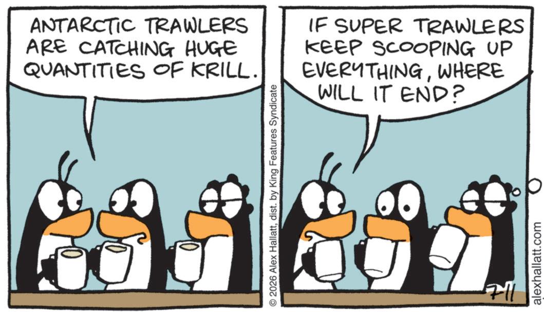 Beak OCR: ANTARCTIC TRAWLERS ARE CATCHING HUGE QUANTITIES OF KRILL. IF SUPER TRAWLERS KEEP SCOOPING UP EVERYTHINGWHERE WILL IT END? © 2026 Alex Hallattdist. by King Features Syndicate 711 alexhallatt.com ANTARCTIC TRAWLERS ARE CATCHING HUGE QUANTITIES OF KRILL . IF SUPER TRAWLERS KEEP SCOOPING UP EVERYTHINGWHERE WILL IT END ? © 2026 Alex Hallattdist . by King Features Syndicate 711 alexhallatt.com