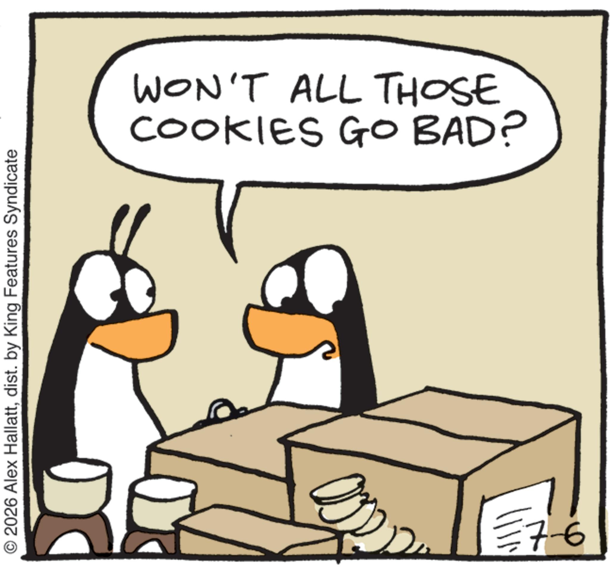 Animated cartoon OCR: © 2026 Alex Hallattdist. by King Features Syndicate COOKIES GO BAD? WON'T ALL THOSE 7-6 © 2026 Alex Hallattdist . by King Features Syndicate COOKIES GO BAD ? WON'T ALL THOSE 7-6