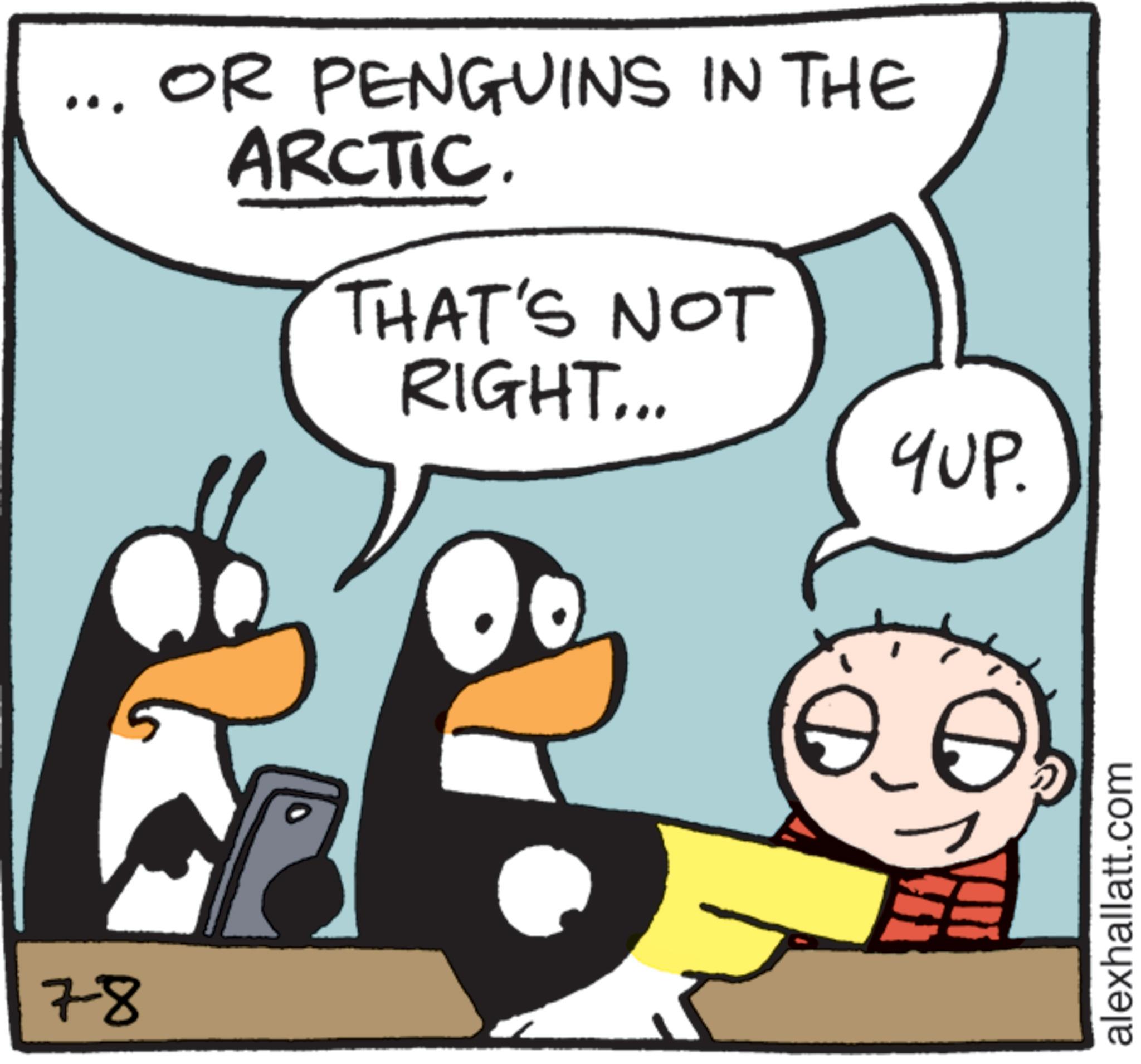 Photo caption OCR: 7-8 OR PENGUINS IN THE ARCTIC. THAT'S NOT RIGHT... YUP. alexhallatt.com 7-8 OR PENGUINS IN THE ARCTIC . THAT'S NOT RIGHT ... YUP . alexhallatt.com