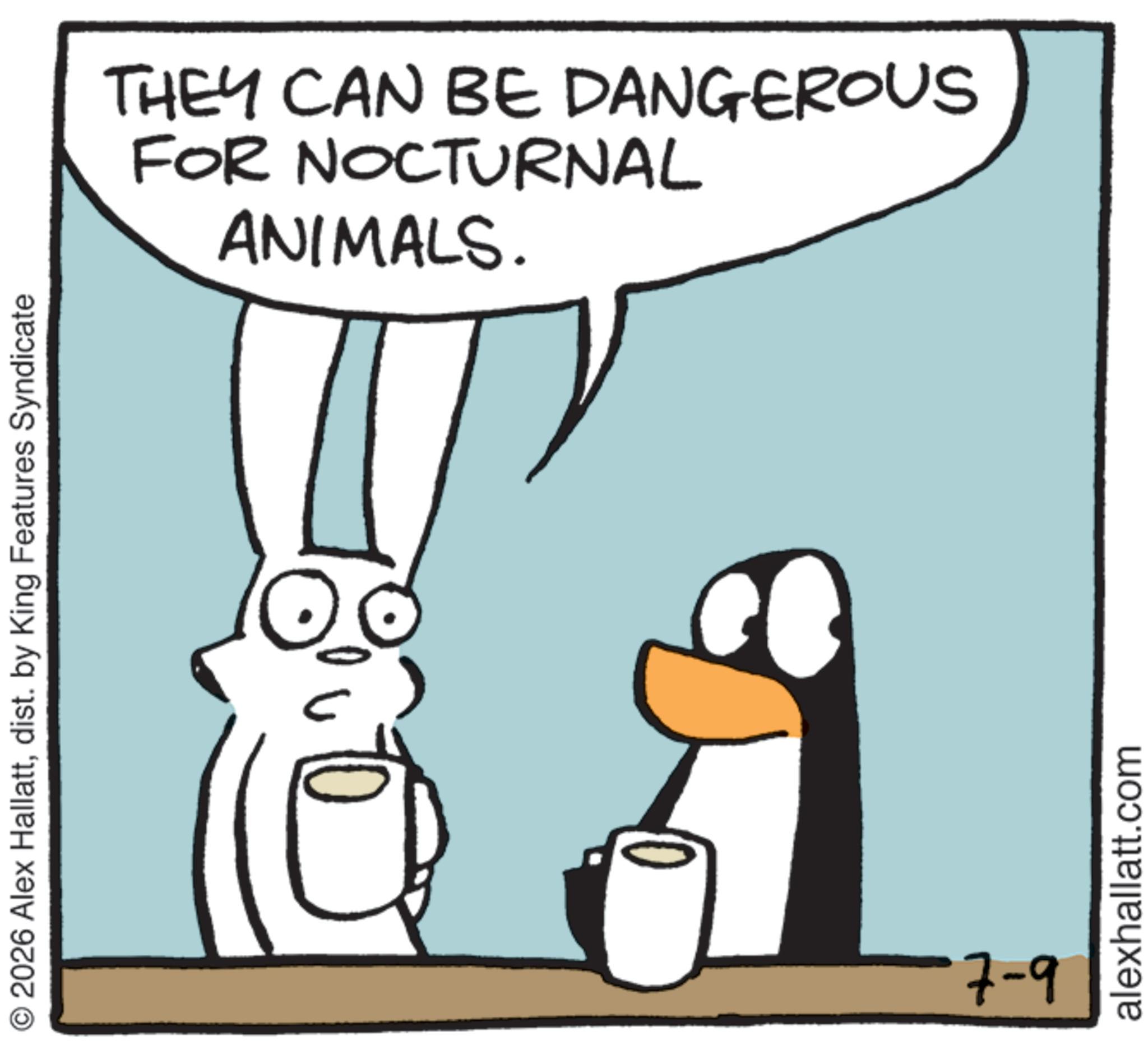 Line art OCR: © 2026 Alex Hallattdist. by King Features Syndicate ANIMALS. FOR NOCTURNAL THEY CAN BE DANGEROUS 7-9 alexhallatt.com © 2026 Alex Hallattdist . by King Features Syndicate ANIMALS . FOR NOCTURNAL THEY CAN BE DANGEROUS 7-9 alexhallatt.com