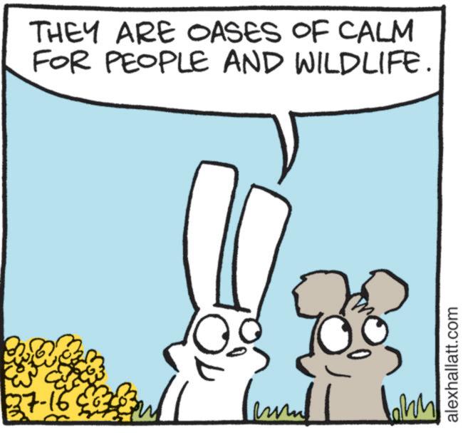 Clip art OCR: 37-16 THEY ARE OASES OF CALM FOR PEOPLE AND WILDLIFE. alexhallatt.com 37-16 THEY ARE OASES OF CALM FOR PEOPLE AND WILDLIFE . alexhallatt.com