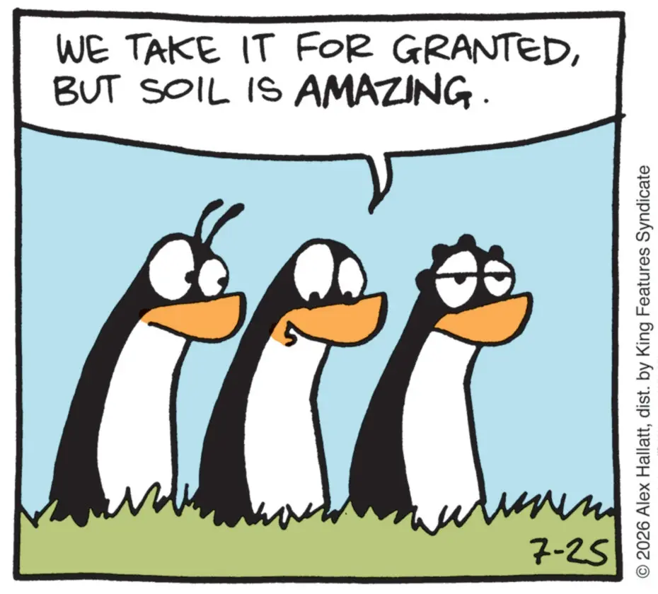 Bird OCR: WE TAKE IT FOR GRANTEDBUT SOIL IS AMAZING. 7-25 O2026 Alex Hallattdist. by King Features Syndicate WE TAKE IT FOR GRANTEDBUT SOIL IS AMAZING . 7-25 O2026 Alex Hallattdist . by King Features Syndicate