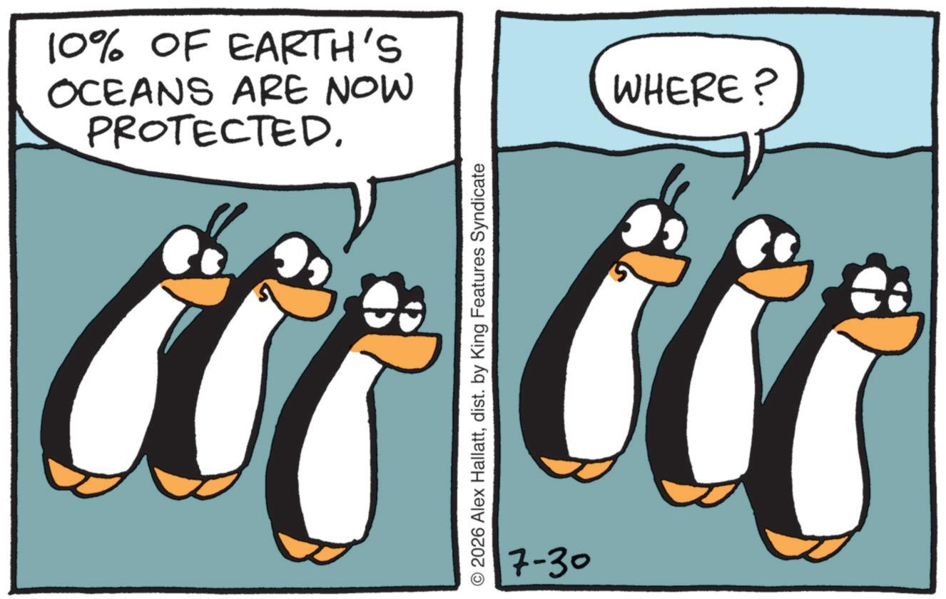 Animation OCR: 10% OF EARTH'S OCEANS ARE NOW PROTECTED. © 2026 Alex Hallattdist. by King Features Syndicate 7-30 WHERE? 10 % OF EARTH'S OCEANS ARE NOW PROTECTED . © 2026 Alex Hallattdist . by King Features Syndicate 7-30 WHERE ?
