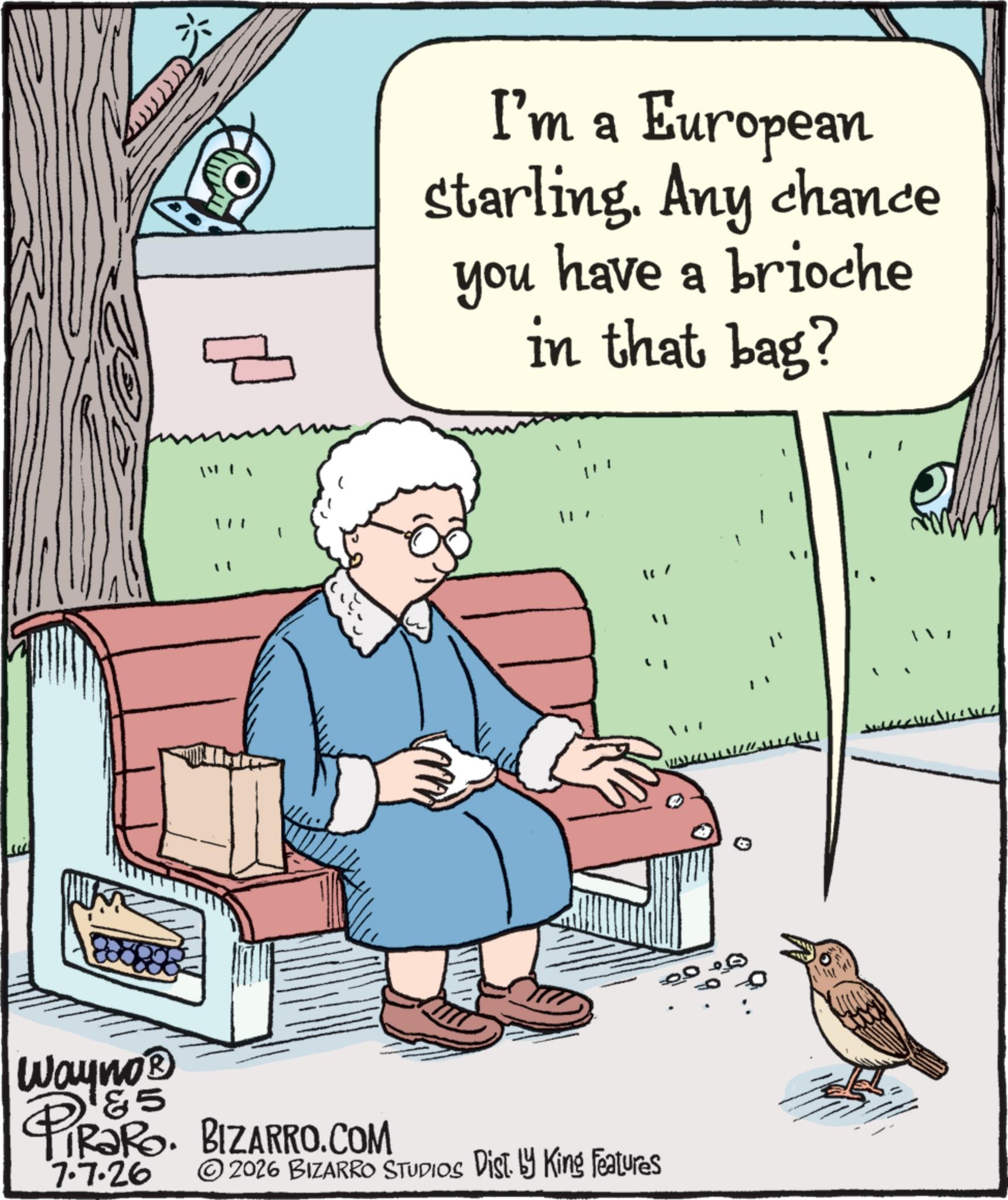 Grandparent OCR: 3 I'm a European starling. Any chance you have a brioche in that bag? Wayno? 185 & 5 4 PIR?RO. BIZARRO.COM 7.7.26 2026 BIZARRO STUDIOS Dist. by King Features " ?? 3 I'm a European starling . Any chance you have a brioche in that bag ? Wayno? 185 & 5 4 PIR?RO . BIZARRO.COM 7.7.26 2026 BIZARRO STUDIOS Dist . by King Features " ??