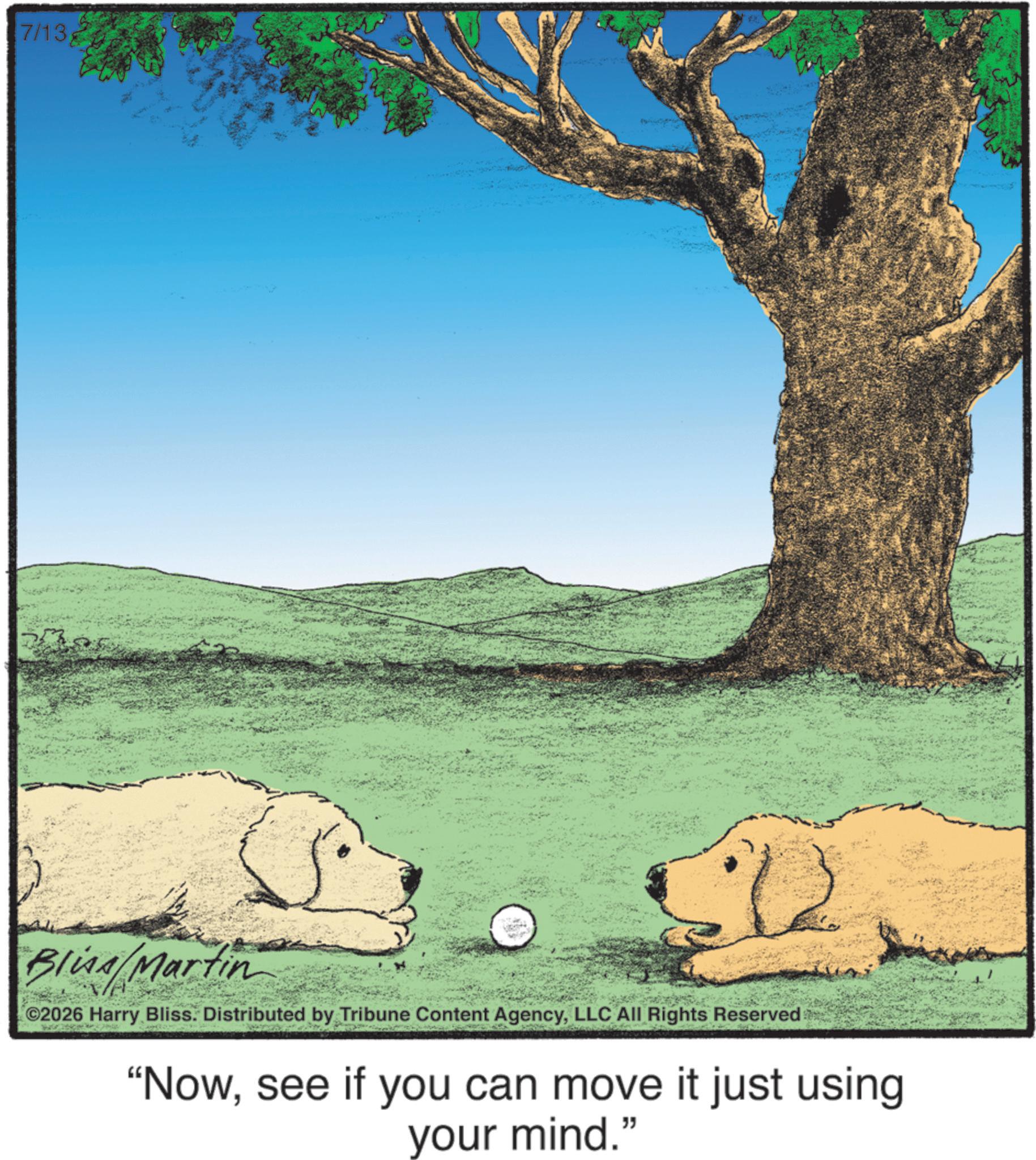 Working animal OCR: 7/13 ??? Blina/Martin ©2026 Harry Bliss. Distributed by Tribune Content AgencyLLC All Rights Reserved "Nowsee if you can move it just using your mind." 7/13 ??? Blina / Martin © 2026 Harry Bliss . Distributed by Tribune Content AgencyLLC All Rights Reserved " Nowsee if you can move it just using your mind . "
