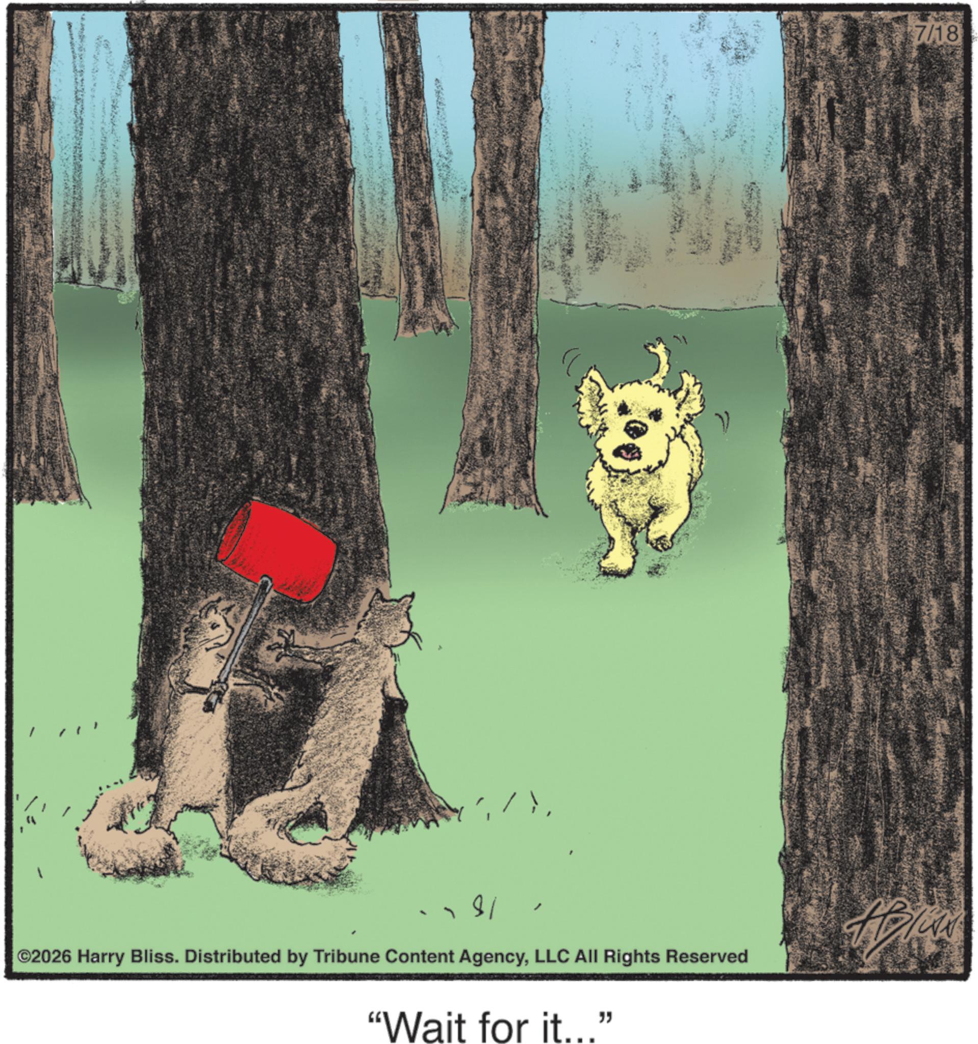 Fiction OCR: ©2026 Harry Bliss. Distributed by Tribune Content AgencyLLC All Rights Reserved "Wait for it..." 7/18 © 2026 Harry Bliss . Distributed by Tribune Content AgencyLLC All Rights Reserved " Wait for it ... " 7/18