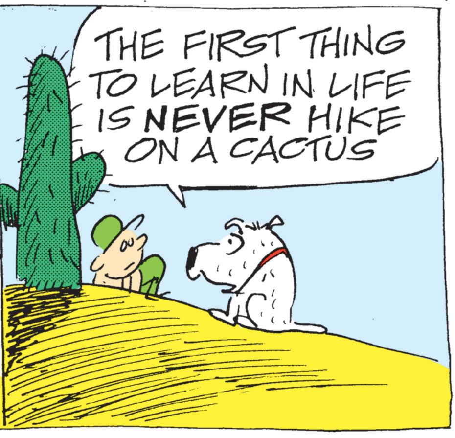 Animated cartoon OCR: ? THE FIRST THING TO LEARN IN LIFE IS NEVER HIKE ON A CACTUS ? ? THE FIRST THING TO LEARN IN LIFE IS NEVER HIKE ON A CACTUS ?