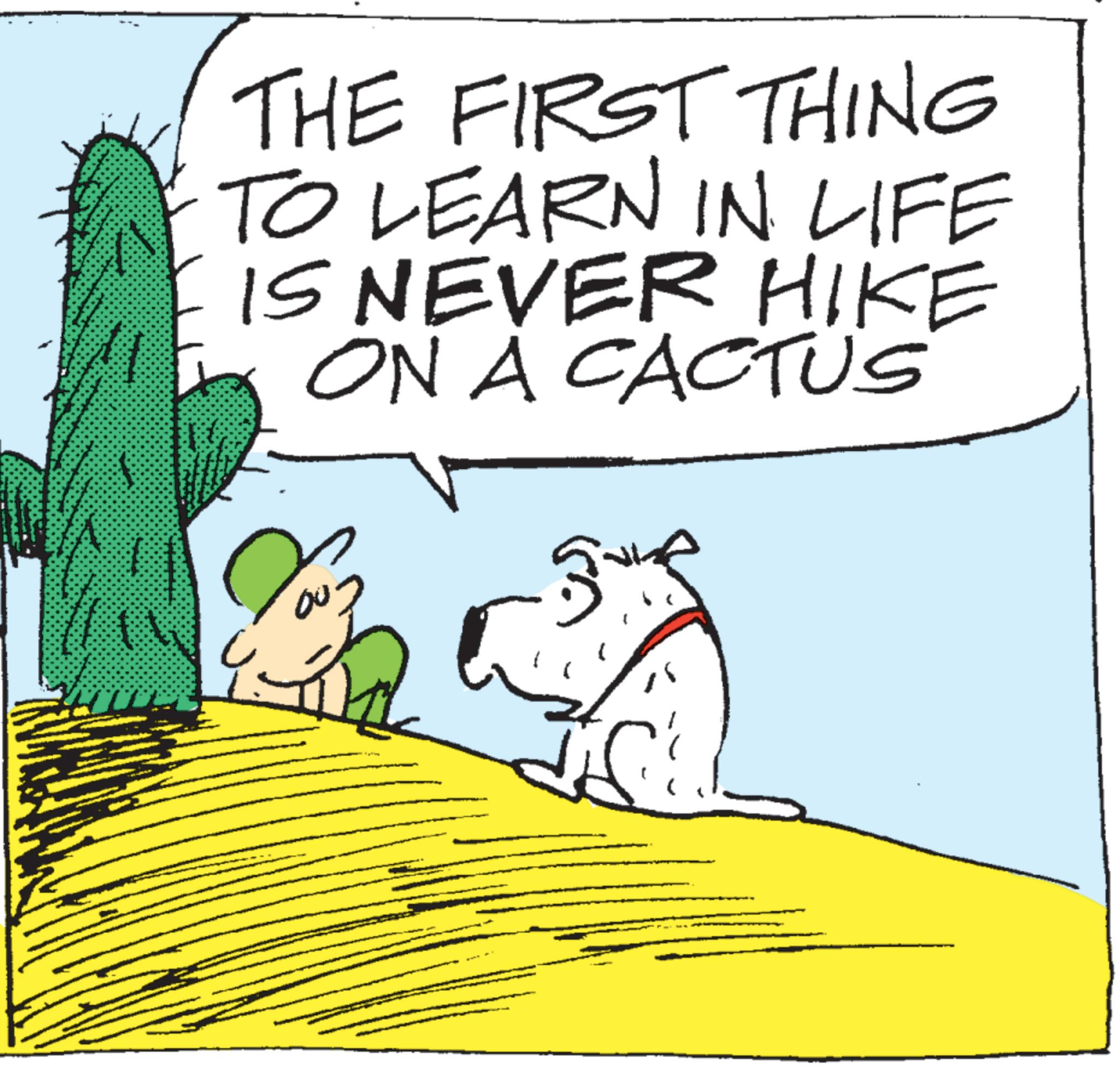 Animated cartoon OCR: ? THE FIRST THING TO LEARN IN LIFE IS NEVER HIKE ON A CACTUS ? ? THE FIRST THING TO LEARN IN LIFE IS NEVER HIKE ON A CACTUS ?