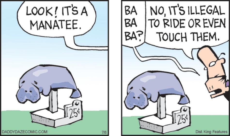 Photo caption OCR: LOOK! IT'S A MANATEE. BA NOIT'S ILLEGAL BA TO RIDE OR EVEN BA? TOUCH THEM. DADDYDAZECOMIC.COM 25 25 7/8 Dist. King Features LOOK ! IT'S A MANATEE . BA NOIT'S ILLEGAL BA TO RIDE OR EVEN BA ? TOUCH THEM . DADDYDAZECOMIC.COM 25 25 7/8 Dist . King Features