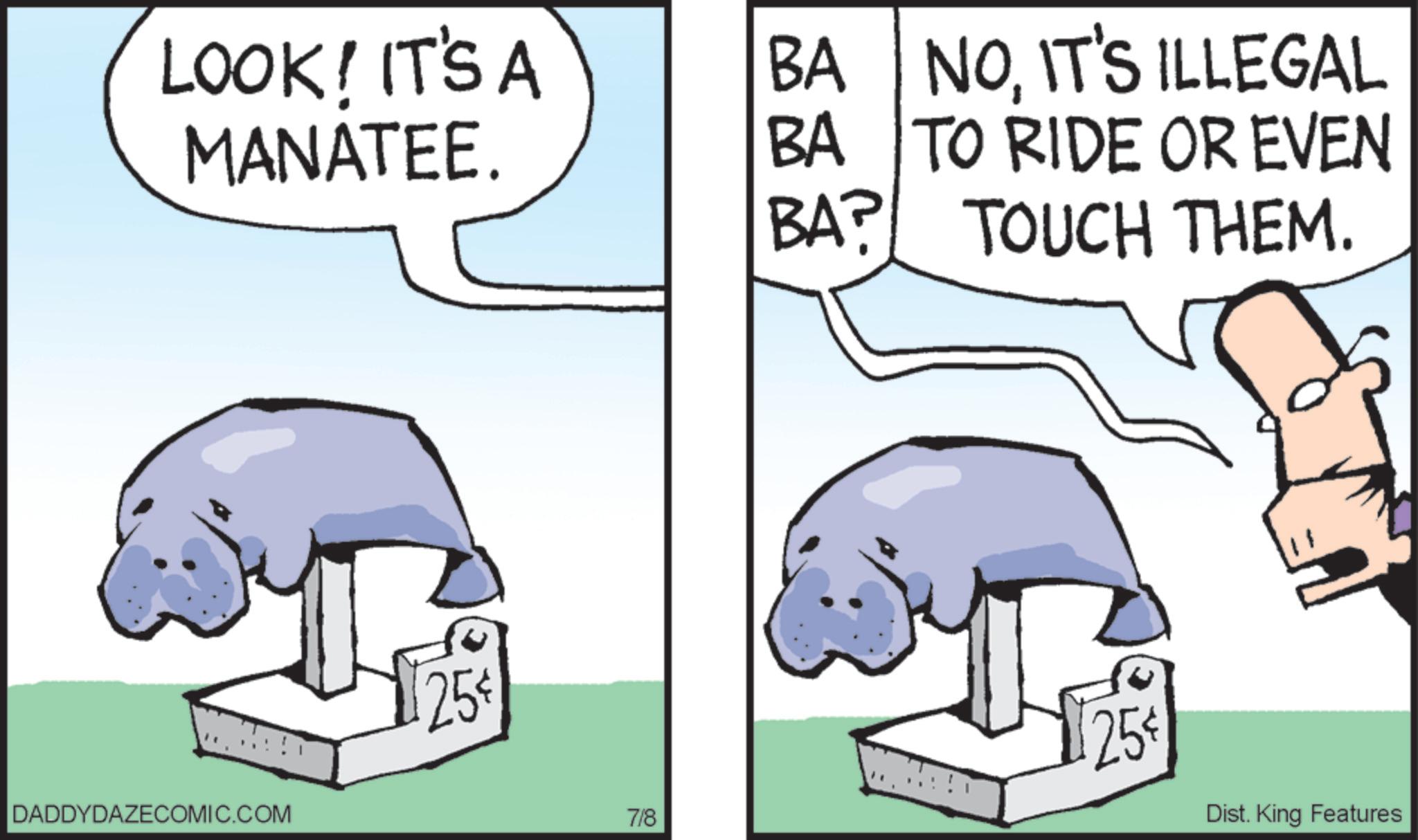 Photo caption OCR: LOOK! IT'S A MANATEE. BA NOIT'S ILLEGAL BA TO RIDE OR EVEN BA? TOUCH THEM. DADDYDAZECOMIC.COM 25 25 7/8 Dist. King Features LOOK ! IT'S A MANATEE . BA NOIT'S ILLEGAL BA TO RIDE OR EVEN BA ? TOUCH THEM . DADDYDAZECOMIC.COM 25 25 7/8 Dist . King Features