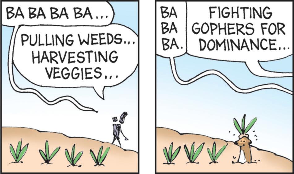 Plantation OCR: BA BA BA BA... PULLING WEEDS... HARVESTING VEGGIES... BA FIGHTING BA GOPHERS FOR BA. DOMINANCE... BA BA BA BA ... PULLING WEEDS ... HARVESTING VEGGIES ... BA FIGHTING BA GOPHERS FOR BA . DOMINANCE ...