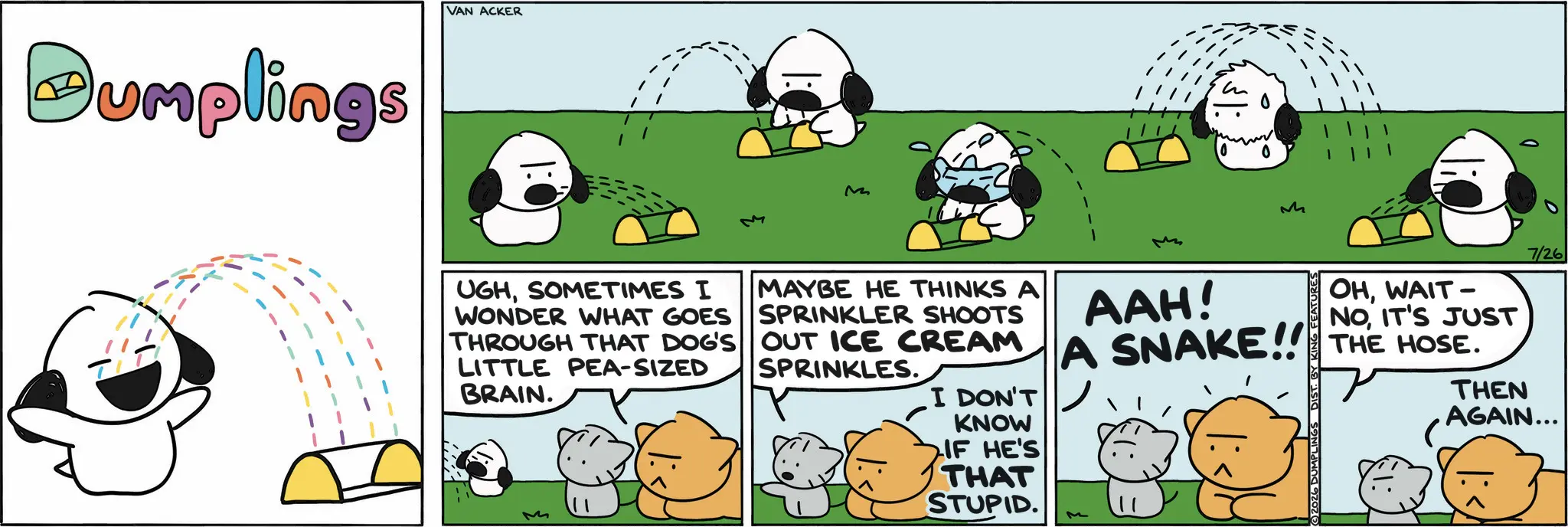 Fictional character OCR: Pumplings VAN ACKER M M 7/26 UGHSOMETIMES I MAYBE HE THINKS A SPRINKLER SHOOTS WONDER WHAT GOES AAH! OHWAIT- NOIT'S JUST THROUGH THAT DOG'S OUT ICE CREAM A SNAKE!! THE HOSE. LITTLE PEA-SIZED BRAIN. M SPRINKLES. I DON'T KNOW IF HE'S THAT STUPID. 2026 DUMPLINGS DIST. BY KING FEATURES THEN AGAIN... Pumplings VAN ACKER M M 7/26 UGHSOMETIMES I MAYBE HE THINKS A SPRINKLER SHOOTS WONDER WHAT GOES AAH ! OHWAIT- NOIT'S JUST THROUGH THAT DOG'S OUT ICE CREAM A SNAKE !! THE HOSE . LITTLE PEA - SIZED BRAIN . M SPRINKLES . I DON'T KNOW IF HE'S THAT STUPID . 2026 DUMPLINGS DIST . BY KING FEATURES THEN AGAIN ...