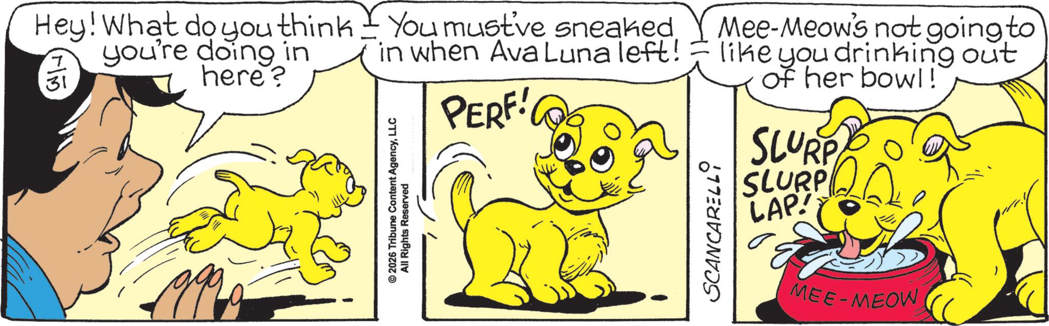 Canidae OCR: Hey! What do you think - You must've sneaked 7 31 you're doing in here? in when Ava Luna left! PERF! 999 © 2026 Tribune Content AgencyLLC All Rights Reserved SCANCARELLI Mee-Meow's not going to like you drinking out of her bowl! SLURPO SLURP LAP! MEE-MEOW Hey ! What do you think - You must've sneaked 7 31 you're doing in here ? in when Ava Luna left ! PERF ! 999 © 2026 Tribune Content AgencyLLC All Rights Reserved SCANCARELLI Mee - Meow's not going to like you drinking out of her bowl ! SLURPO SLURP LAP ! MEE - MEOW