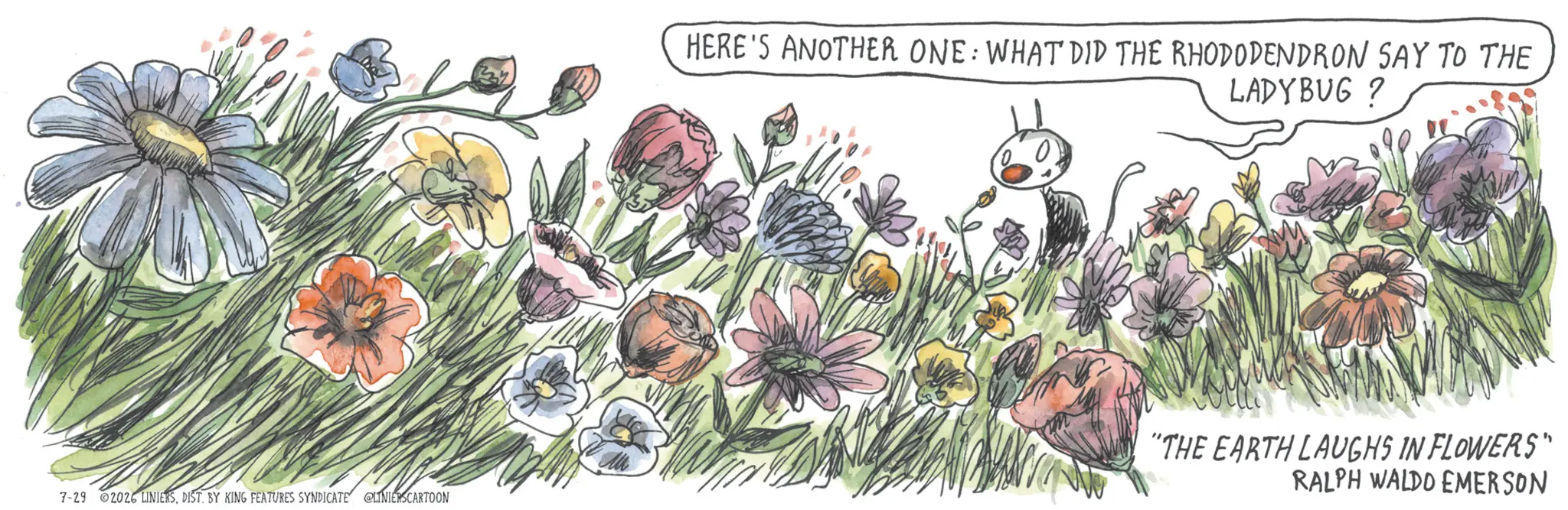 Wildflower OCR: HERE'S ANOTHER ONE: WHAT DID THE RHODODENDRON SAY TO THE LADYBUG ? 7-29 2026 LINIERSDIST. BY KING FEATURES SYNDICATE @LINIERSCARTOON "THE EARTH LAUGHS IN FLOWERS" RALPH WALDO EMERSON HERE'S ANOTHER ONE : WHAT DID THE RHODODENDRON SAY TO THE LADYBUG ? 7-29 2026 LINIERSDIST . BY KING FEATURES SYNDICATE @LINIERSCARTOON " THE EARTH LAUGHS IN FLOWERS " RALPH WALDO EMERSON