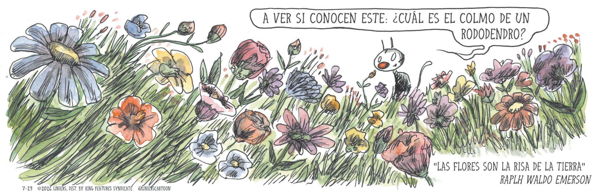 Animation OCR: 7-29 02026 LINIERSDIST. BY KING FEATURES SYNDICATE @LINIERSCARTOON A VER SI CONOCEN ESTE: ¿CUÁL ES EL COLMO DE UN RODODENDRO? "LAS FLORES SON LA RISA DE LA TIERRA" RAPLH WALDO EMERSON 7-29 02026 LINIERSDIST . BY KING FEATURES SYNDICATE @LINIERSCARTOON A VER SI CONOCEN ESTE : ¿ CUÁL ES EL COLMO DE UN RODODENDRO ? " LAS FLORES SON LA RISA DE LA TIERRA " RAPLH WALDO EMERSON