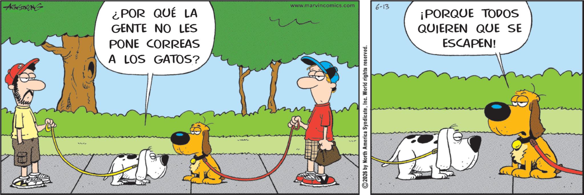 Fictional character OCR: ARMSTRONG ¿POR QUÉ LA GENTE NO LES PONE CORREAS A LOS GATOS? www.marvincomics.com 6-13 ¡PORQUE TODOS 2026 by North America SyndicateInc. World rights reserved. QUIEREN QUE SE ESCAPEN! ARMSTRONG ¿ POR QUÉ LA GENTE NO LES PONE CORREAS A LOS GATOS ? www.marvincomics.com 6-13 ¡ PORQUE TODOS 2026 by North America SyndicateInc. World rights reserved . QUIEREN QUE SE ESCAPEN !