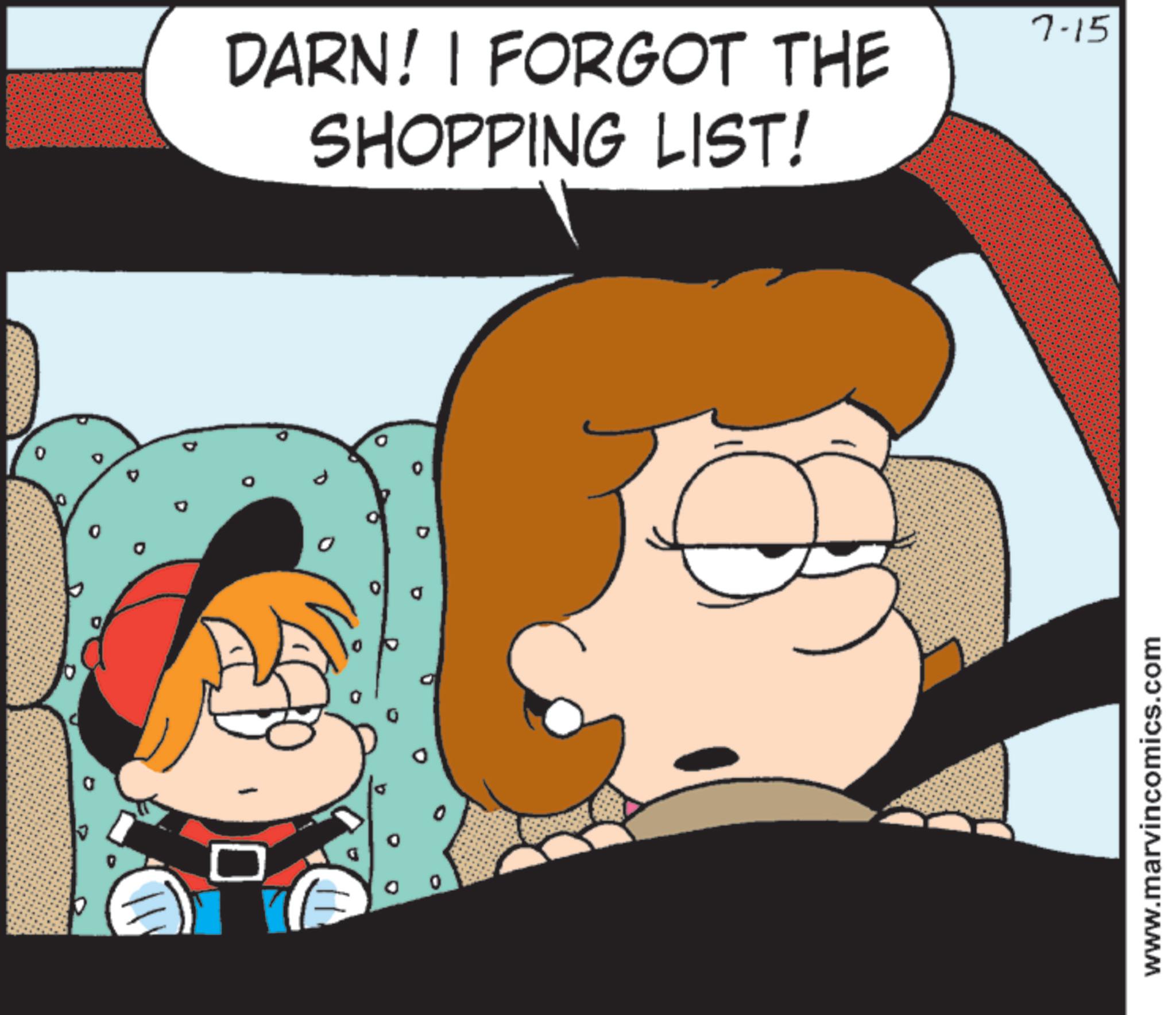 Pleased OCR: 0 DARN! | FORGOT THE SHOPPING LIST! www.marvincomics.com 7-15 0 DARN ! | FORGOT THE SHOPPING LIST ! www.marvincomics.com 7-15