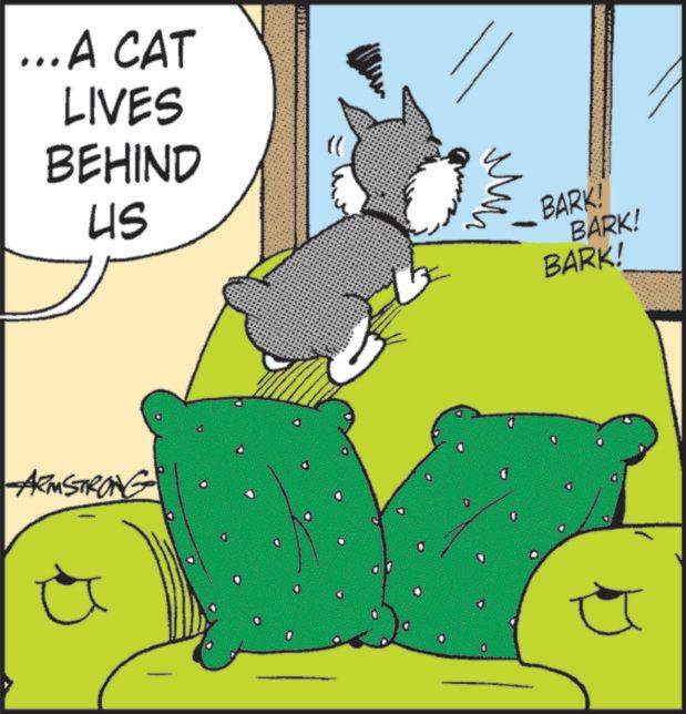 Paw OCR: ... A CAT LIVES BEHIND US BARK! BARK! BARK! ARMSTRONG 7 ... A CAT LIVES BEHIND US BARK ! BARK ! BARK ! ARMSTRONG 7