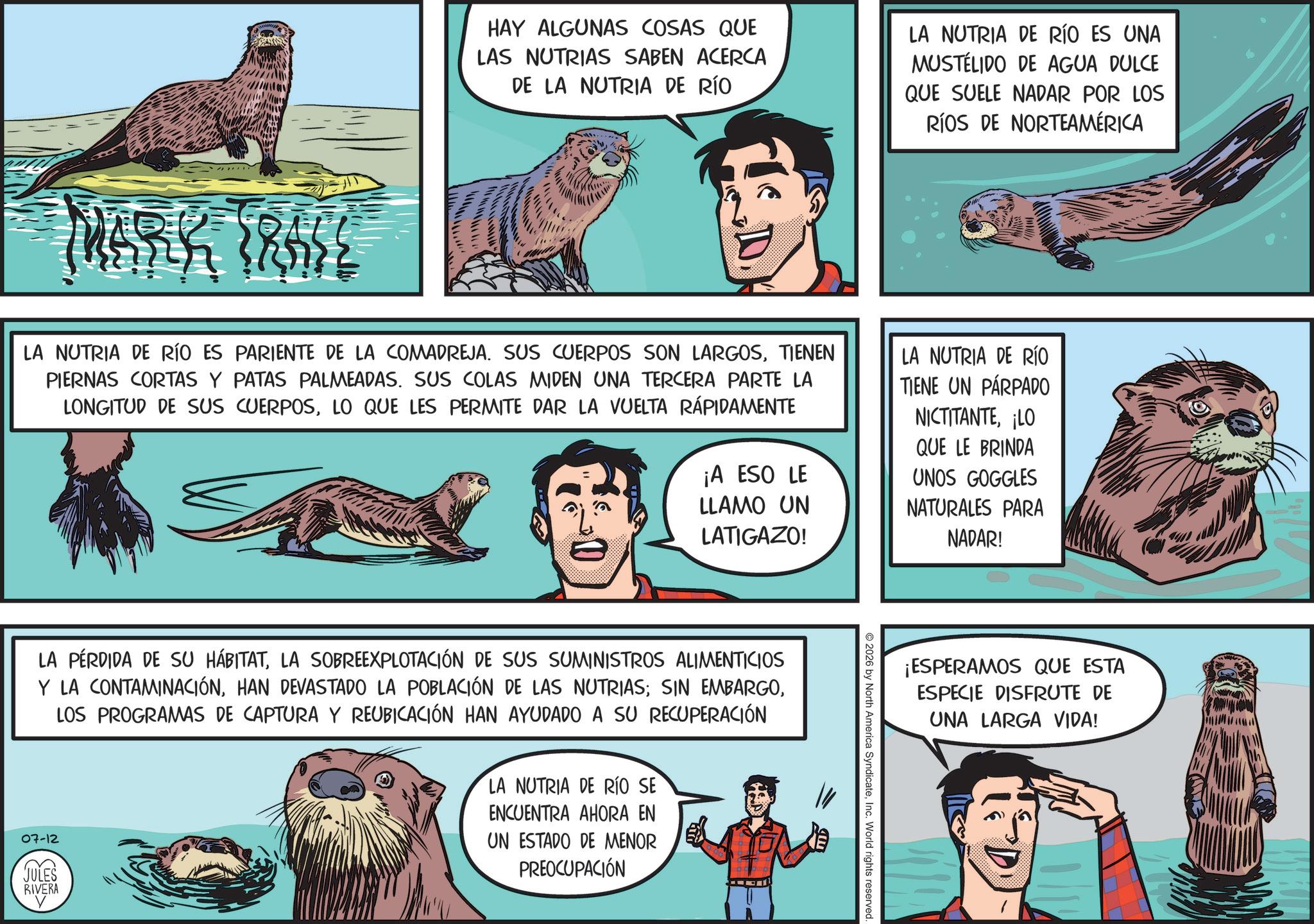 Animated cartoon OCR: HAY ALGUNAS COSAS QUE LAS NUTRIAS SABEN ACERCA DE LA NUTRIA DE RÍO LA NUTRIA DE RÍO ES UNA MUSTELIDO DE AGUA DULCE QUE SUELE NADAR POR LOS RÍOS DE NORTEAMÉRICA ??? LA NUTRIA DE RÍO ES PARIENTE DE LA COMADREJA. SUS CUERPOS SON LARGOSTIENEN PIERNAS CORTAS Y PATAS PALMEADAS. SUS COLAS MIDEN UNA TERCERA PARTE LA LONGITUD DE SUS CUERPOSLO QUE LES PERMITE DAR LA VUELTA RÁPIDAMENTE ¡A ESO LE LLAMO UN LATIGAZO! LA NUTRIA DE RÍO TIENE UN PÁRPADO NICTITANTE¡LO QUE LE BRINDA UNOS GOGGLES NATURALES PARA NADAR! LA PÉRDIDA DE SU HÁBITATLA SOBREEXPLOTACIÓN DE SUS SUMINISTROS ALIMENTICIOS Y LA CONTAMINACIÓNLOS PROGRAMAS DE CAPTURA Y REUBICACIÓN HAN AYUDADO A SU RECUPERACIÓN 07-12 JULES E RIVERA LA NUTRIA DE RÍO SE ENCUENTRA AHORA EN UN ESTADO DE MENOR PREOCUPACIÓN © 2026 by North America SyndicateInc. World rights reserved. ¡ESPERAMOS QUE ESTA ESPECIE DISFRUTE DE UNA LARGA VIDA! HAY ALGUNAS COSAS QUE LAS NUTRIAS SABEN ACERCA DE LA NUTRIA DE RÍO LA NUTRIA DE RÍO ES UNA MUSTELIDO DE AGUA DULCE QUE SUELE NADAR POR LOS RÍOS DE NORTEAMÉRICA ??? LA NUTRIA DE RÍO ES PARIENTE DE LA COMADREJA . SUS CUERPOS SON LARGOSTIENEN PIERNAS CORTAS Y PATAS PALMEADAS . SUS COLAS MIDEN UNA TERCERA PARTE LA LONGITUD DE SUS CUERPOSLO QUE LES PERMITE DAR LA VUELTA RÁPIDAMENTE ¡ A ESO LE LLAMO UN LATIGAZO ! LA NUTRIA DE RÍO TIENE UN PÁRPADO NICTITANTE¡ LO QUE LE BRINDA UNOS GOGGLES NATURALES PARA NADAR ! LA PÉRDIDA DE SU HÁBITATLA SOBREEXPLOTACIÓN DE SUS SUMINISTROS ALIMENTICIOS Y LA CONTAMINACIÓNHAN DEVASTADO LA POBLACIÓN DE LAS NUTRIAS ; SIN EMBARGOLOS PROGRAMAS DE CAPTURA Y REUBICACIÓN HAN AYUDADO A SU RECUPERACIÓN 07-12 JULES E RIVERA LA NUTRIA DE RÍO SE ENCUENTRA AHORA EN UN ESTADO DE MENOR PREOCUPACIÓN © 2026 by North America SyndicateInc. World rights reserved . ¡ ESPERAMOS QUE ESTA ESPECIE DISFRUTE DE UNA LARGA VIDA !