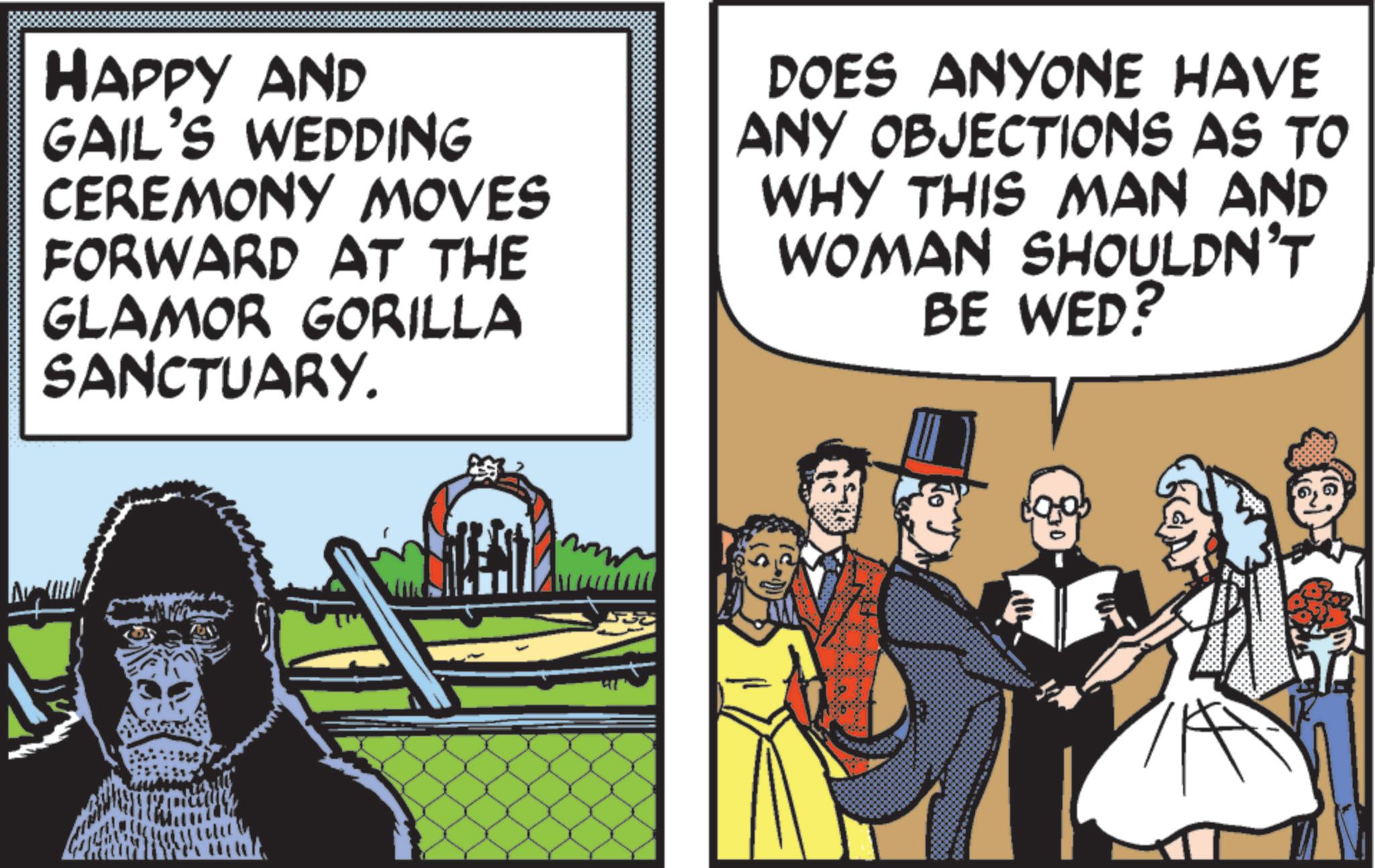 Fictional character OCR: HAPPY AND GAIL'S WEDDING CEREMONY MOVES FORWARD AT THE GLAMOR GORILLA SANCTUARY. DOES ANYONE HAVE ANY OBJECTIONS AS TO WHY THIS MAN AND WOMAN SHOULDN'T BE WED? HAPPY AND GAIL'S WEDDING CEREMONY MOVES FORWARD AT THE GLAMOR GORILLA SANCTUARY . DOES ANYONE HAVE ANY OBJECTIONS AS TO WHY THIS MAN AND WOMAN SHOULDN'T BE WED ?