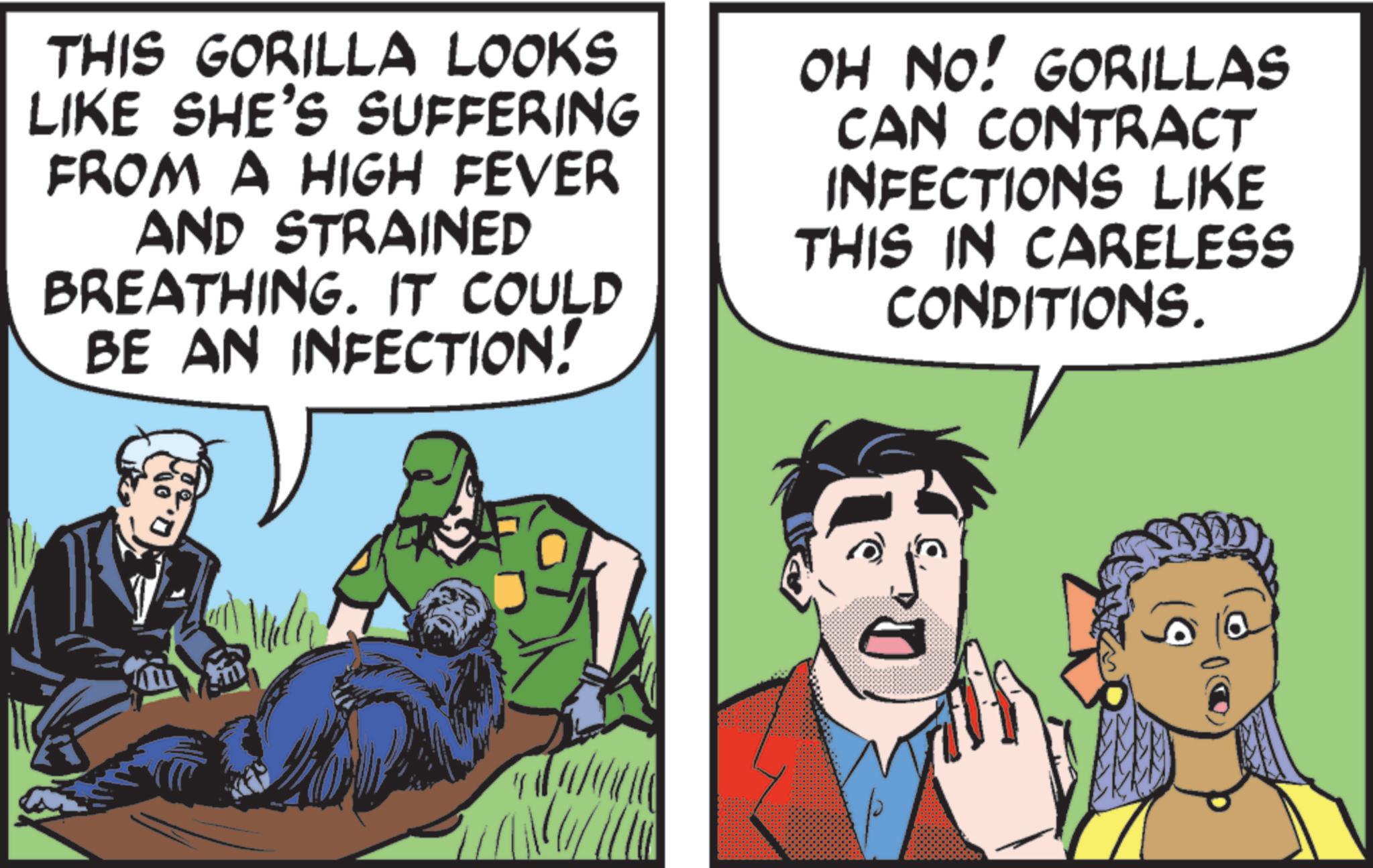 Animation OCR: THIS GORILLA LOOKS LIKE SHE'S SUFFERING FROM A HIGH FEVER AND STRAINED BREATHING. IT COULD BE AN INFECTION! OH NO! GORILLAS CAN CONTRACT INFECTIONS LIKE THIS IN CARELESS CONDITIONS. THIS GORILLA LOOKS LIKE SHE'S SUFFERING FROM A HIGH FEVER AND STRAINED BREATHING . IT COULD BE AN INFECTION ! OH NO ! GORILLAS CAN CONTRACT INFECTIONS LIKE THIS IN CARELESS CONDITIONS .
