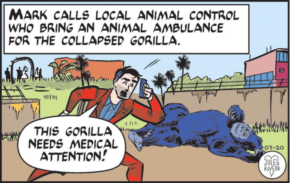 Graphics OCR: MARK CALLS LOCAL ANIMAL CONTROL WHO BRING AN ANIMAL AMBULANCE FOR THE COLLAPSED GORILLA. MELUG THIS GORILLA NEEDS MEDICAL ATTENTION! 1/16 ??? ????? 07-20 JULES RIVERA MARK CALLS LOCAL ANIMAL CONTROL WHO BRING AN ANIMAL AMBULANCE FOR THE COLLAPSED GORILLA . MELUG THIS GORILLA NEEDS MEDICAL ATTENTION ! 1/16 ??? ????? 07-20 JULES RIVERA